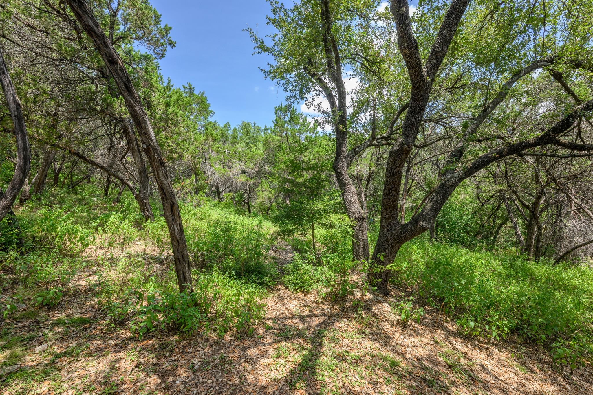 33rd image of 6702 Cat Creek Trl, Austin, TX 78731 | MLS# 2457524