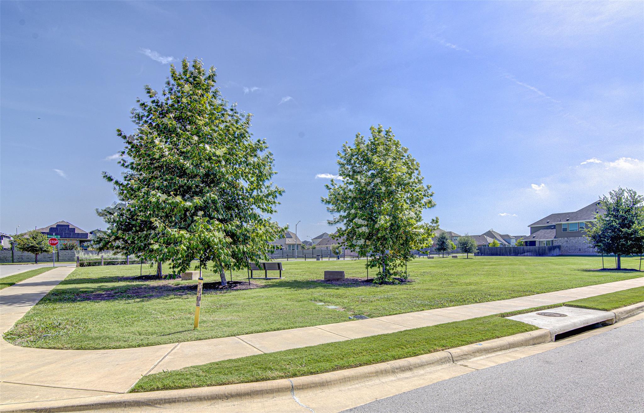 29th image of 204 Oldbridge Dr, Hutto, TX 78634 | MLS# 5040476