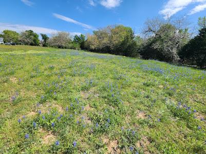 1st image of 000 Fm 812 Rd, Cedar Creek, TX 78612 | MLS# 2459321