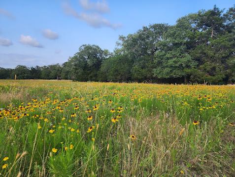 3rd image of 000 Fm 812 Rd, Cedar Creek, TX 78612 | MLS# 2459321