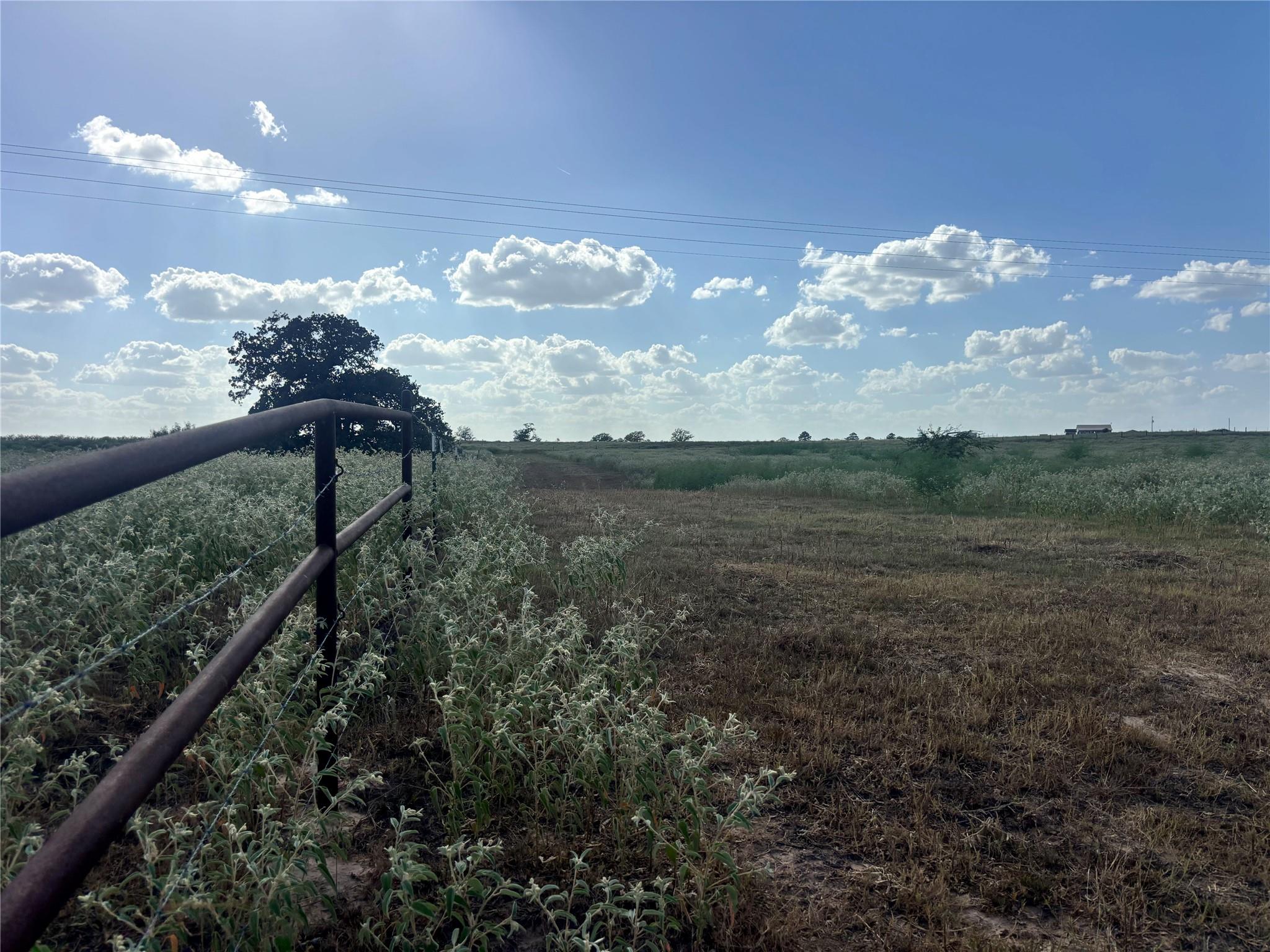 4th image of Tbd County Road 326 - Tract 2, Giddings, TX 78942 | MLS# 1430367