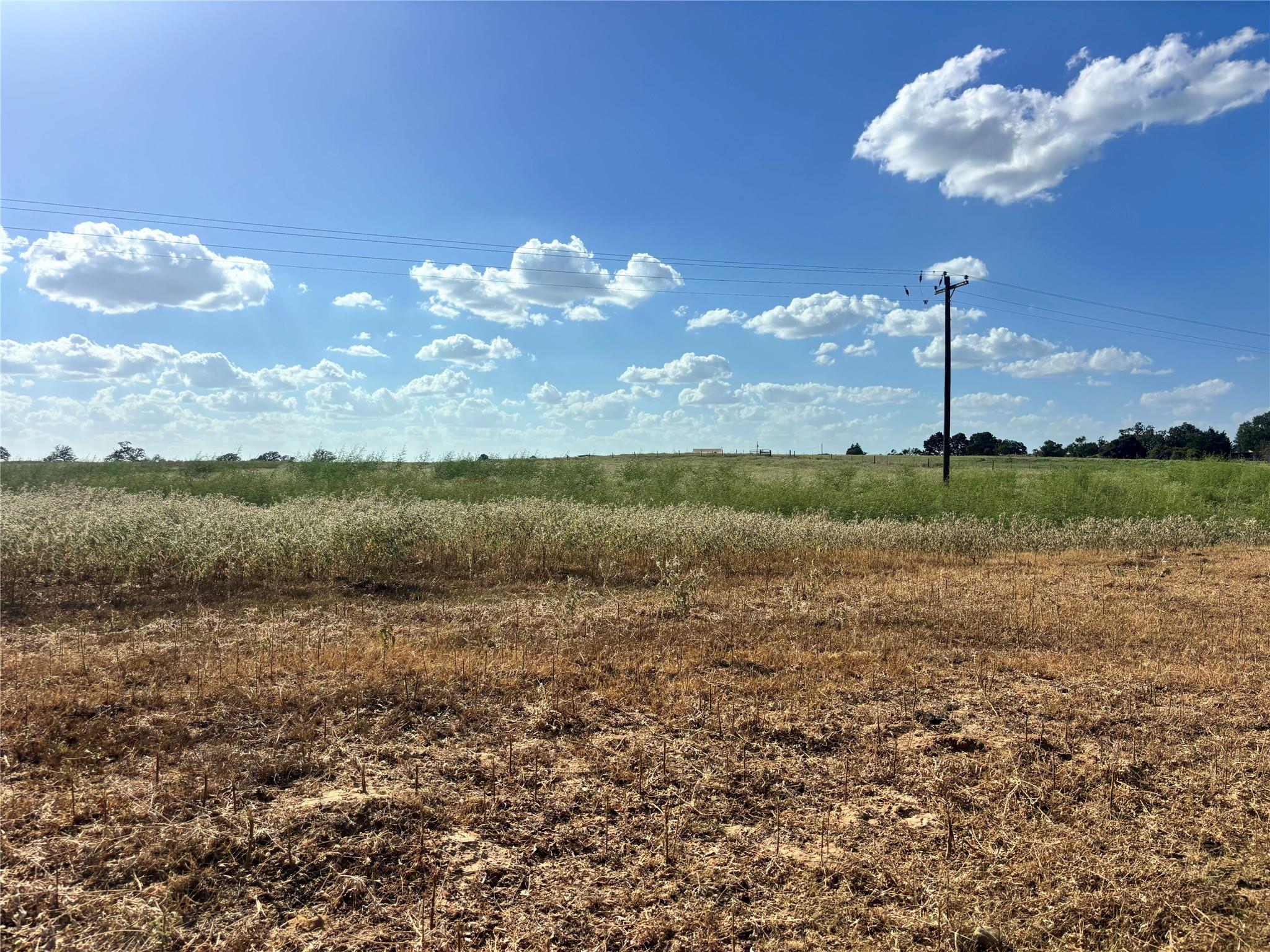 2nd image of Tbd County Road 326   Tract 2, Giddings, TX 78942 | MLS# 1430367