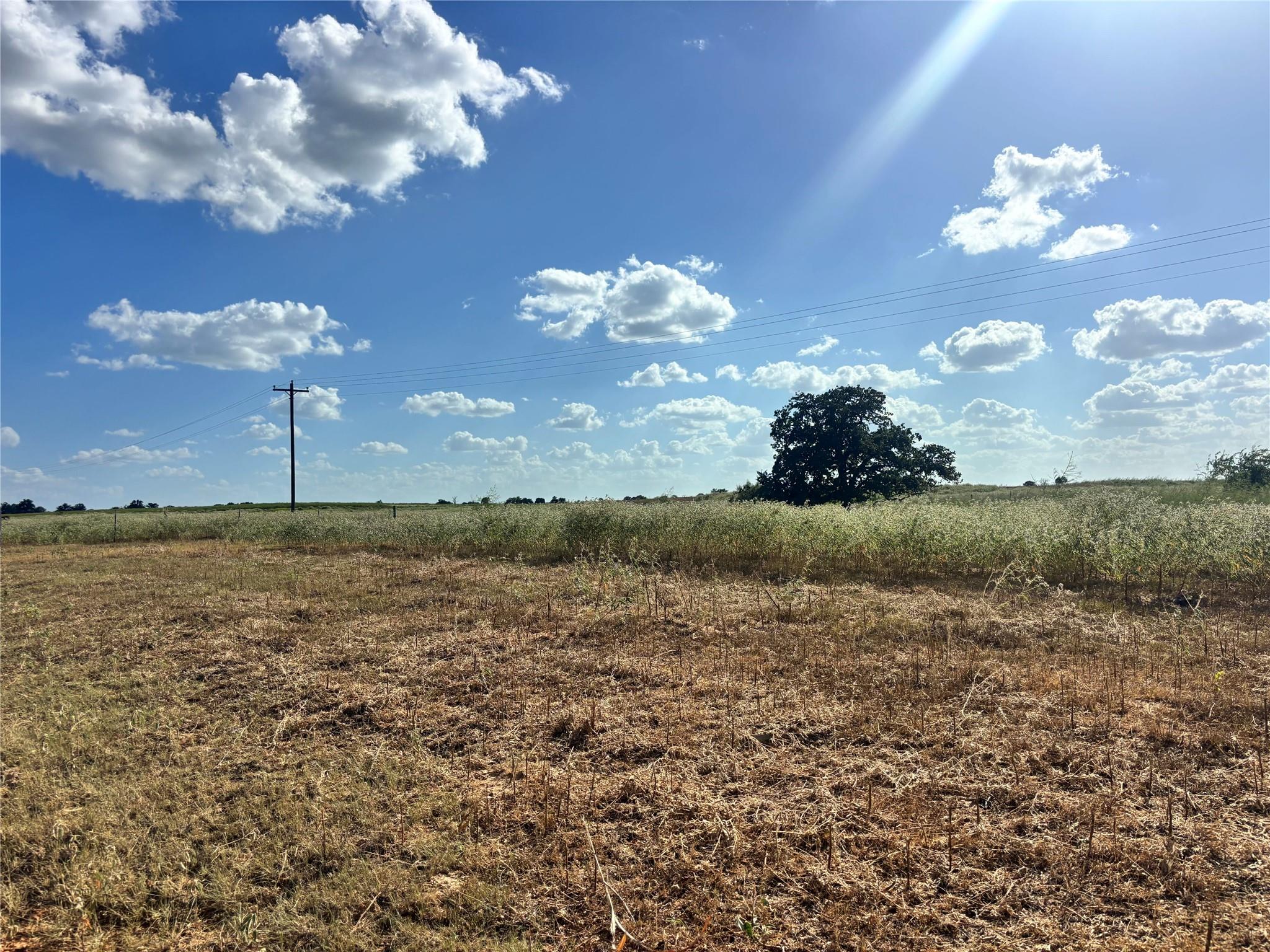 3rd image of Tbd County Road 326 - Tract 2, Giddings, TX 78942 | MLS# 1430367
