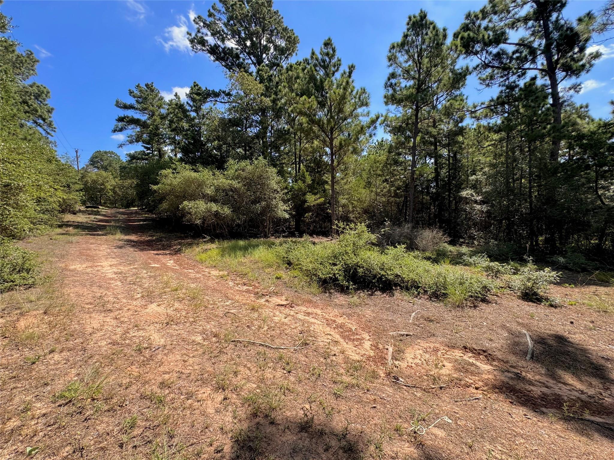 3rd image of 445 Pine Valley Loop, Smithville, TX 78957 | MLS# 4811374