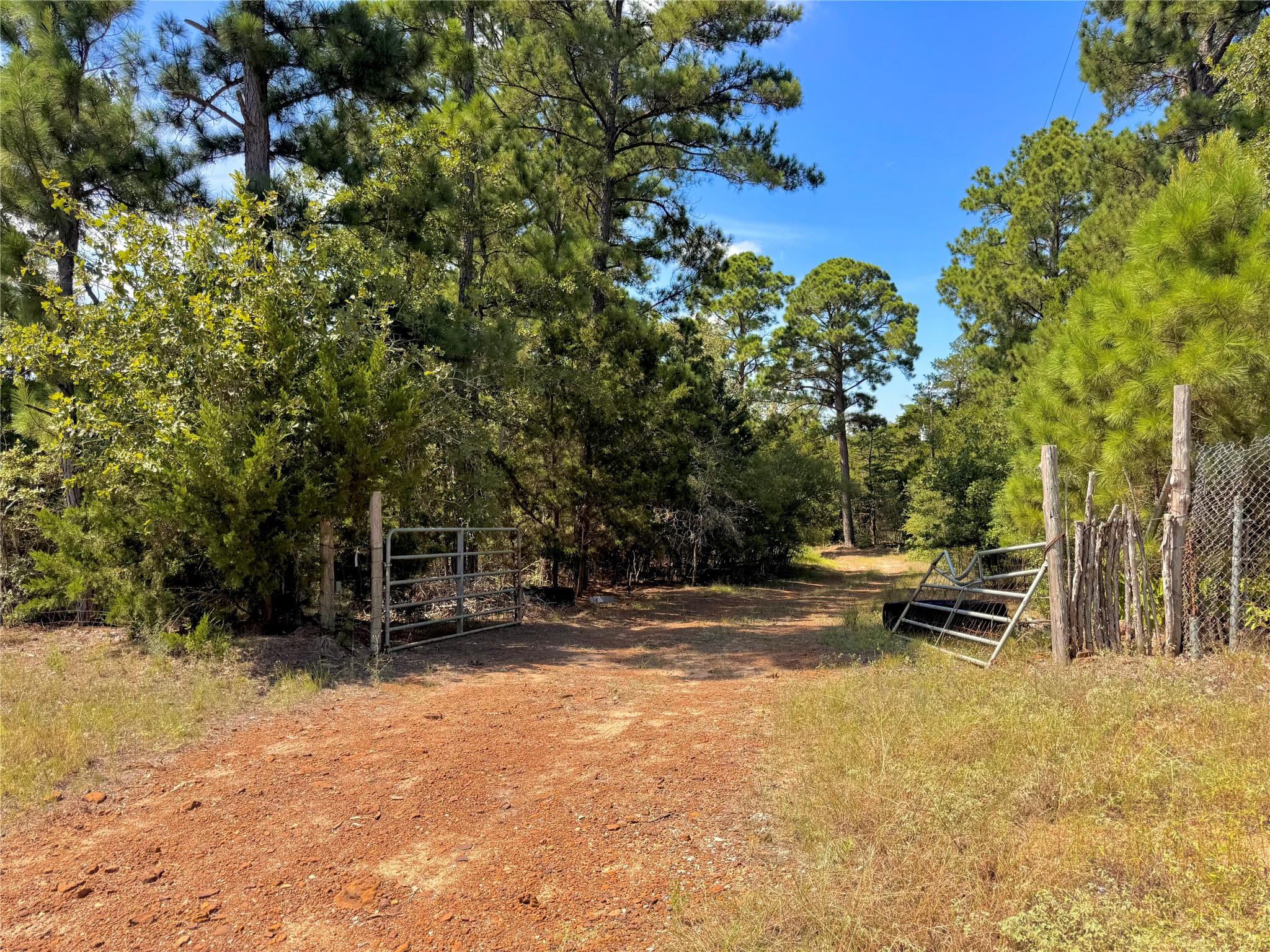 1st image of 445 Pine Valley Loop, Smithville, TX 78957 | MLS# 4811374