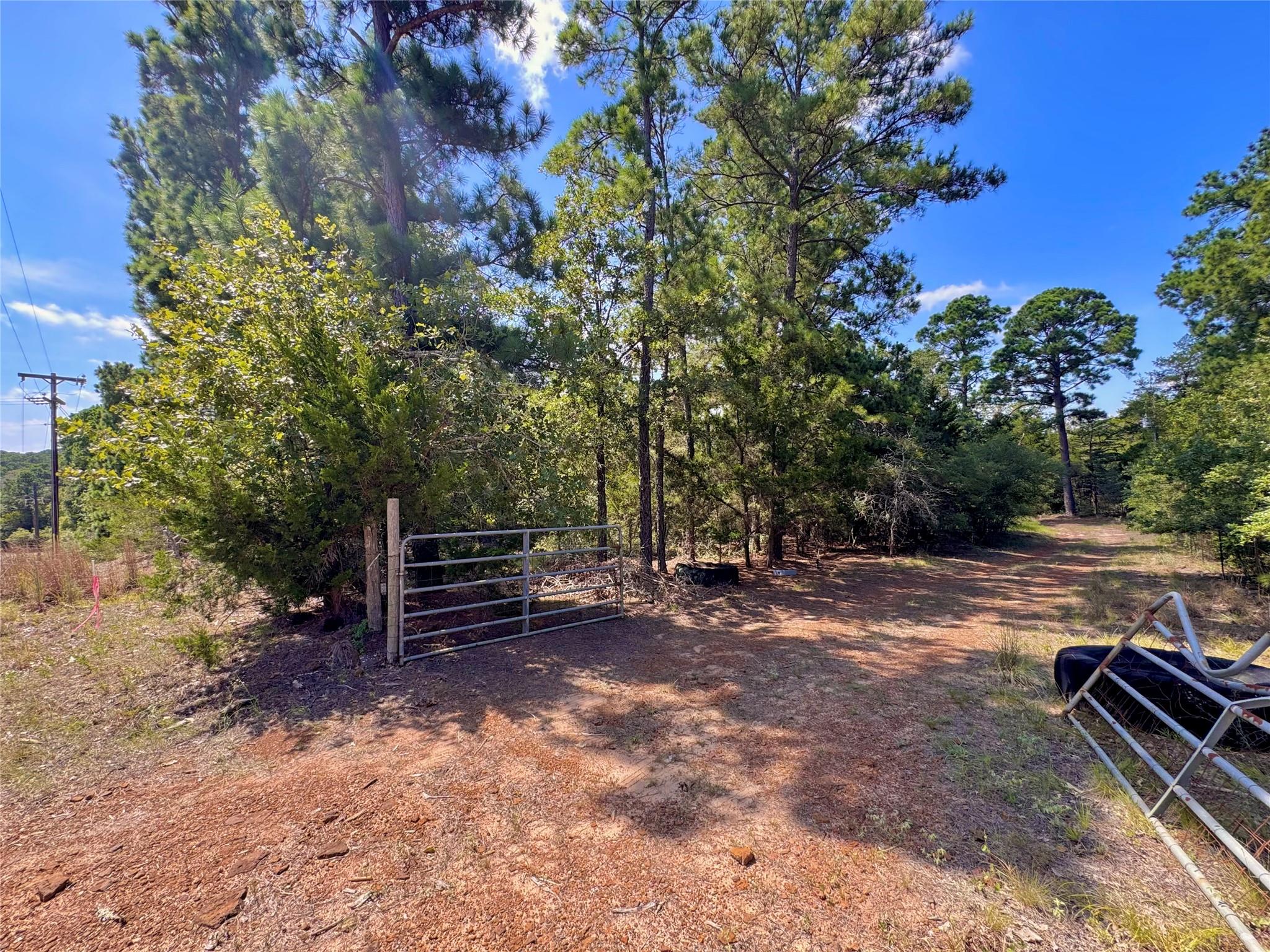 13th image of 445 Pine Valley Loop, Smithville, TX 78957 | MLS# 4811374
