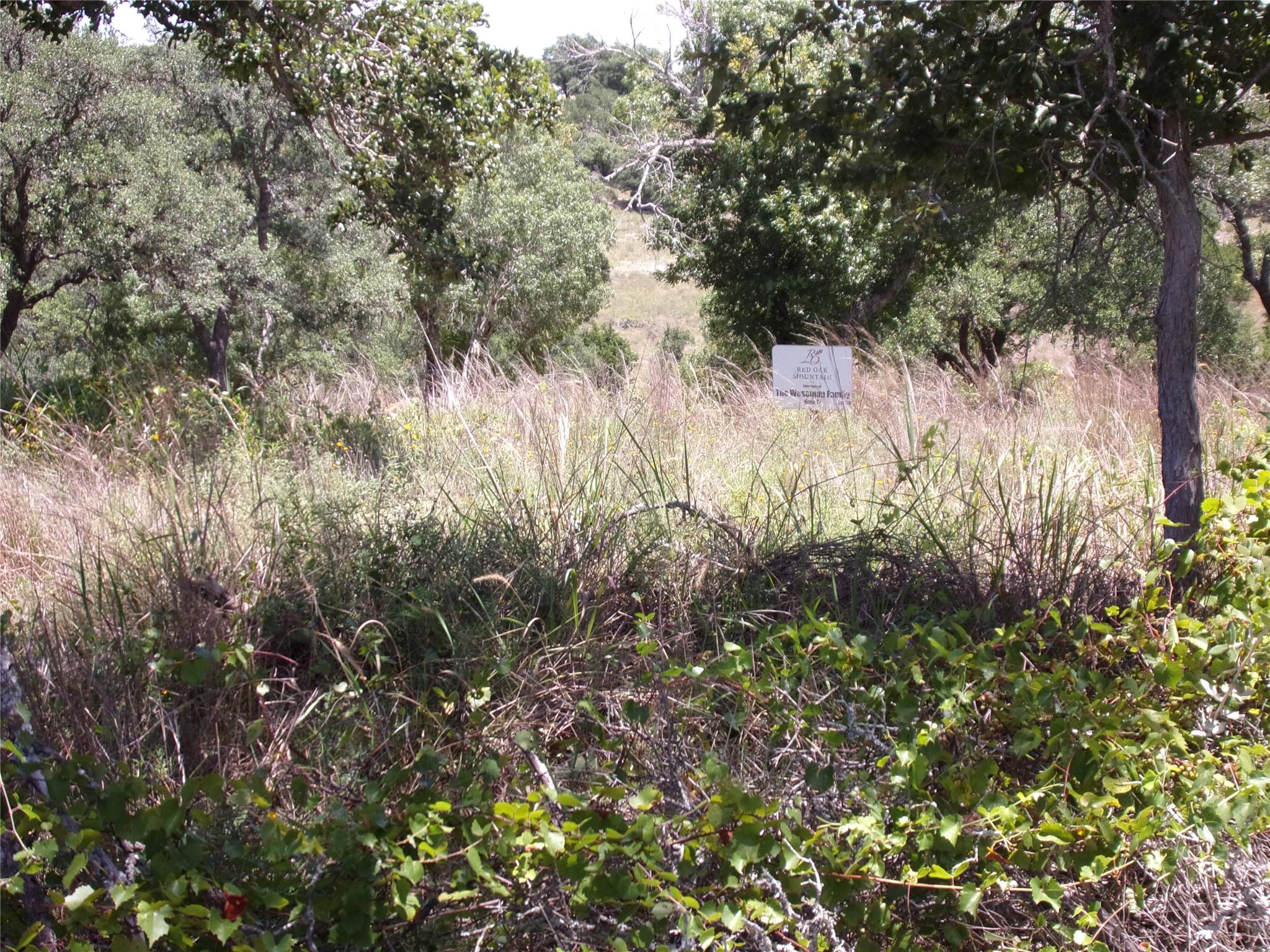 2nd image of Tbd Twisted Oak Trl, Blanco, TX 78606 | MLS# 4371463