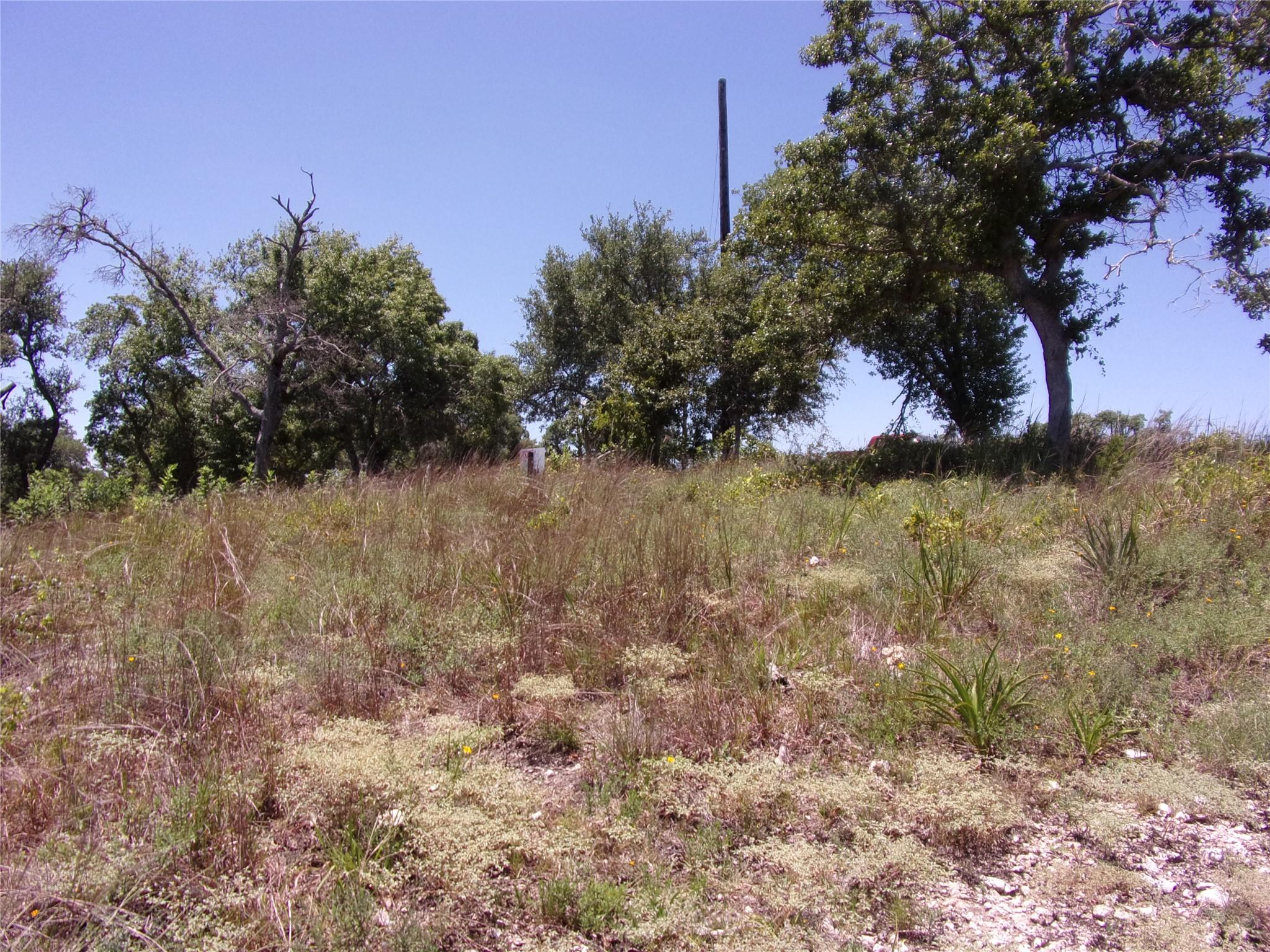 13th image of Tbd Twisted Oak Trl, Blanco, TX 78606 | MLS# 4371463