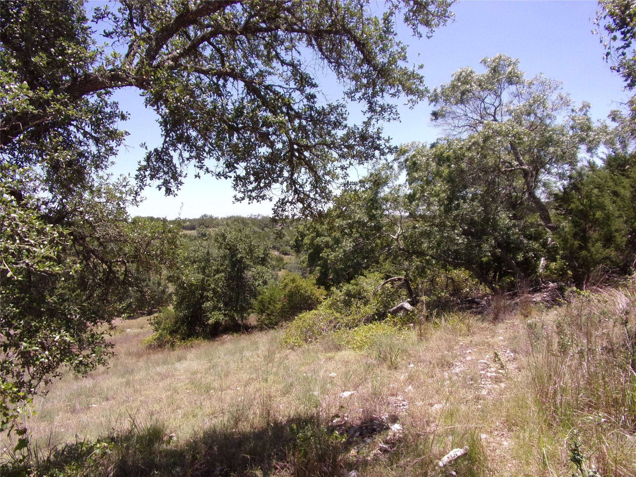 5th image of Tbd Twisted Oak Trl, Blanco, TX 78606 | MLS# 4371463