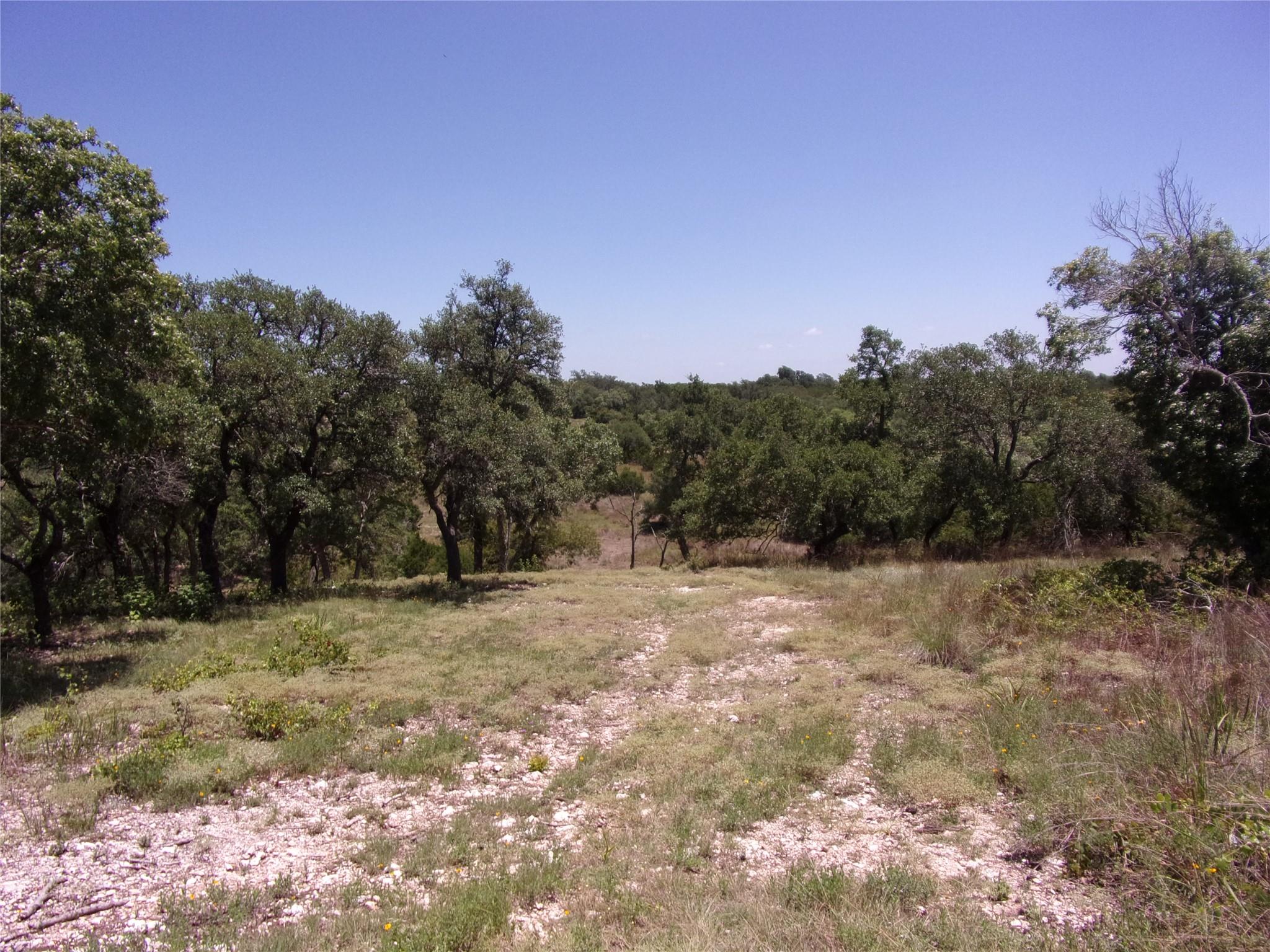3rd image of Tbd Twisted Oak Trl, Blanco, TX 78606 | MLS# 4371463