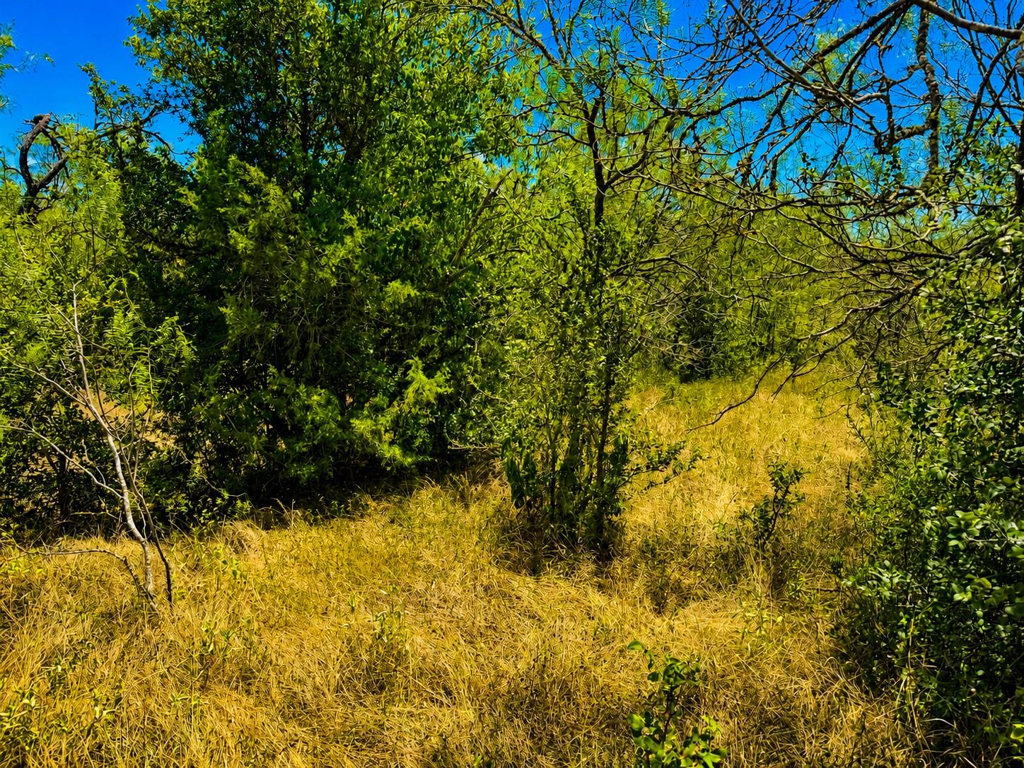 4th image of 221 Fawn Ridge Rd, Cedar Creek, TX 78612 | MLS# 8022483