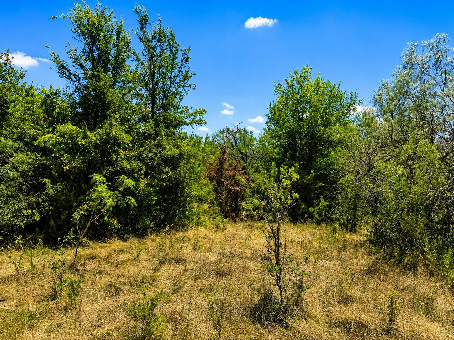 5th image of 221 Fawn Ridge Rd, Cedar Creek, TX 78612 | MLS# 8022483