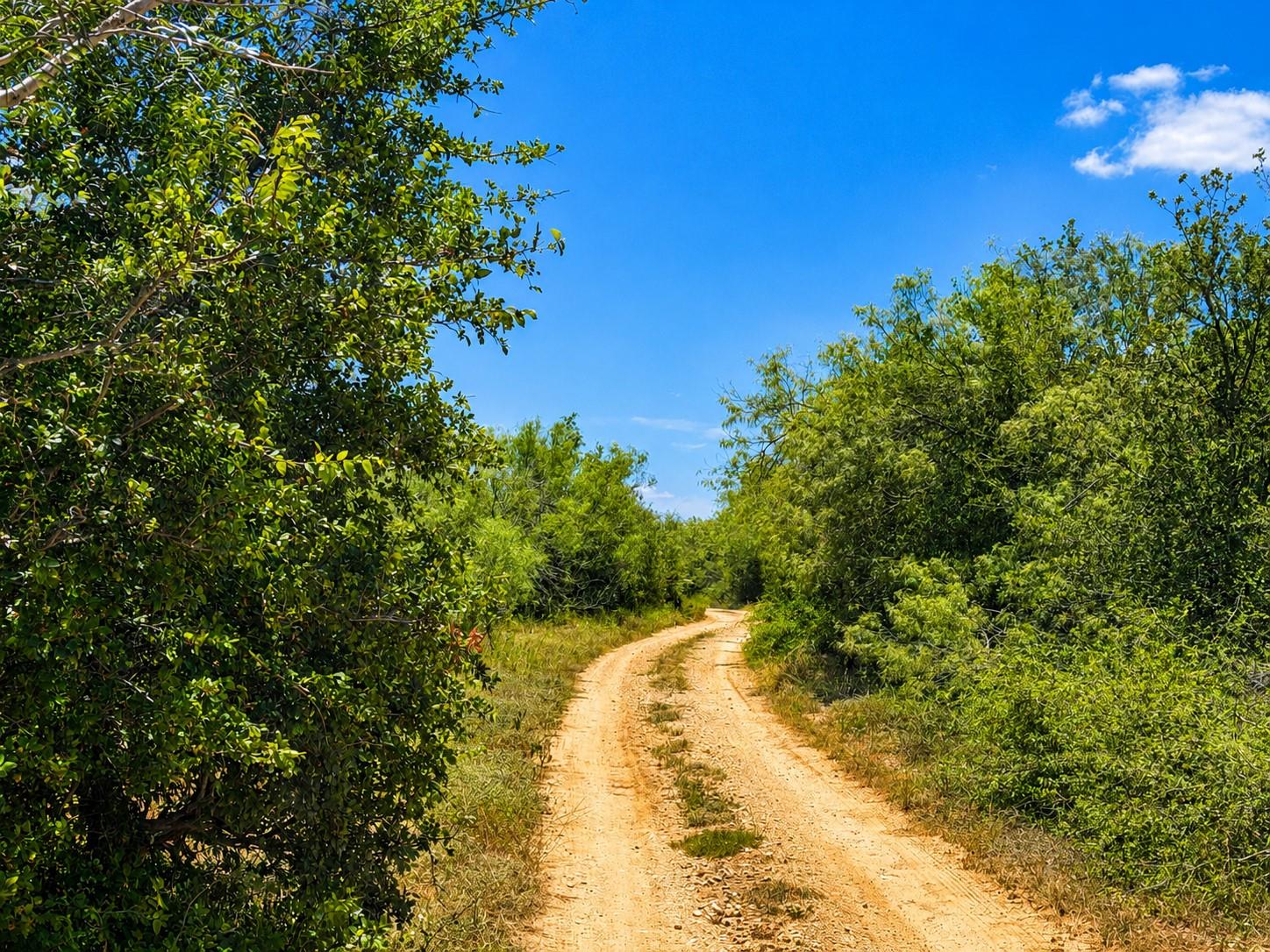 2nd image of 221 Fawn Ridge Rd, Cedar Creek, TX 78612 | MLS# 8022483