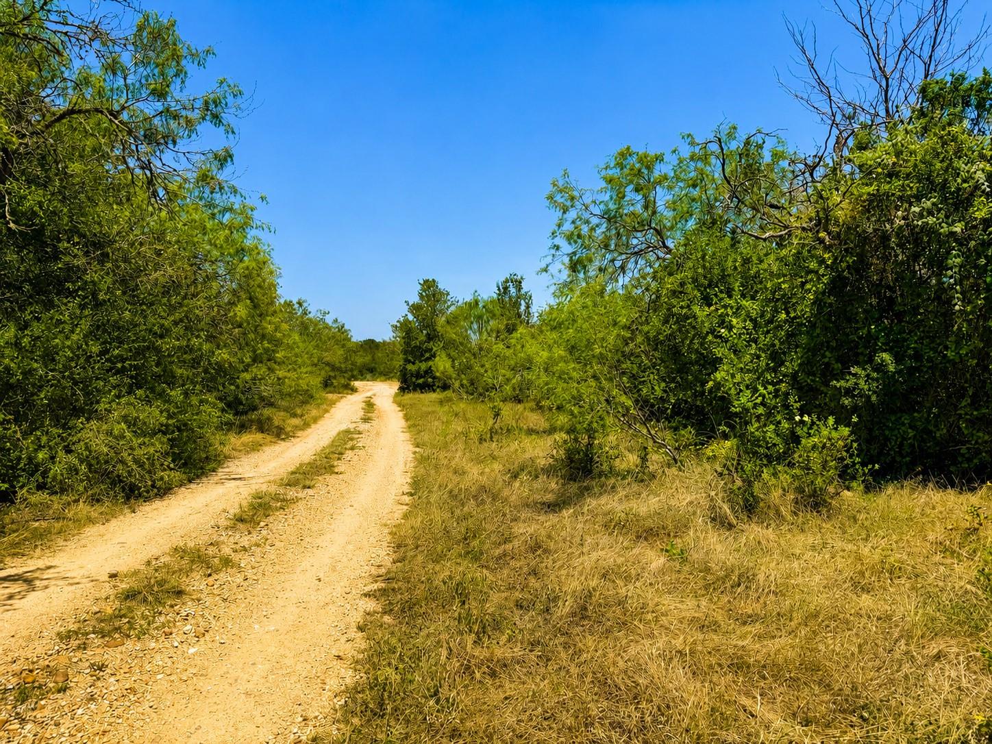 1st image of 221 Fawn Ridge Rd, Cedar Creek, TX 78612 | MLS# 8022483