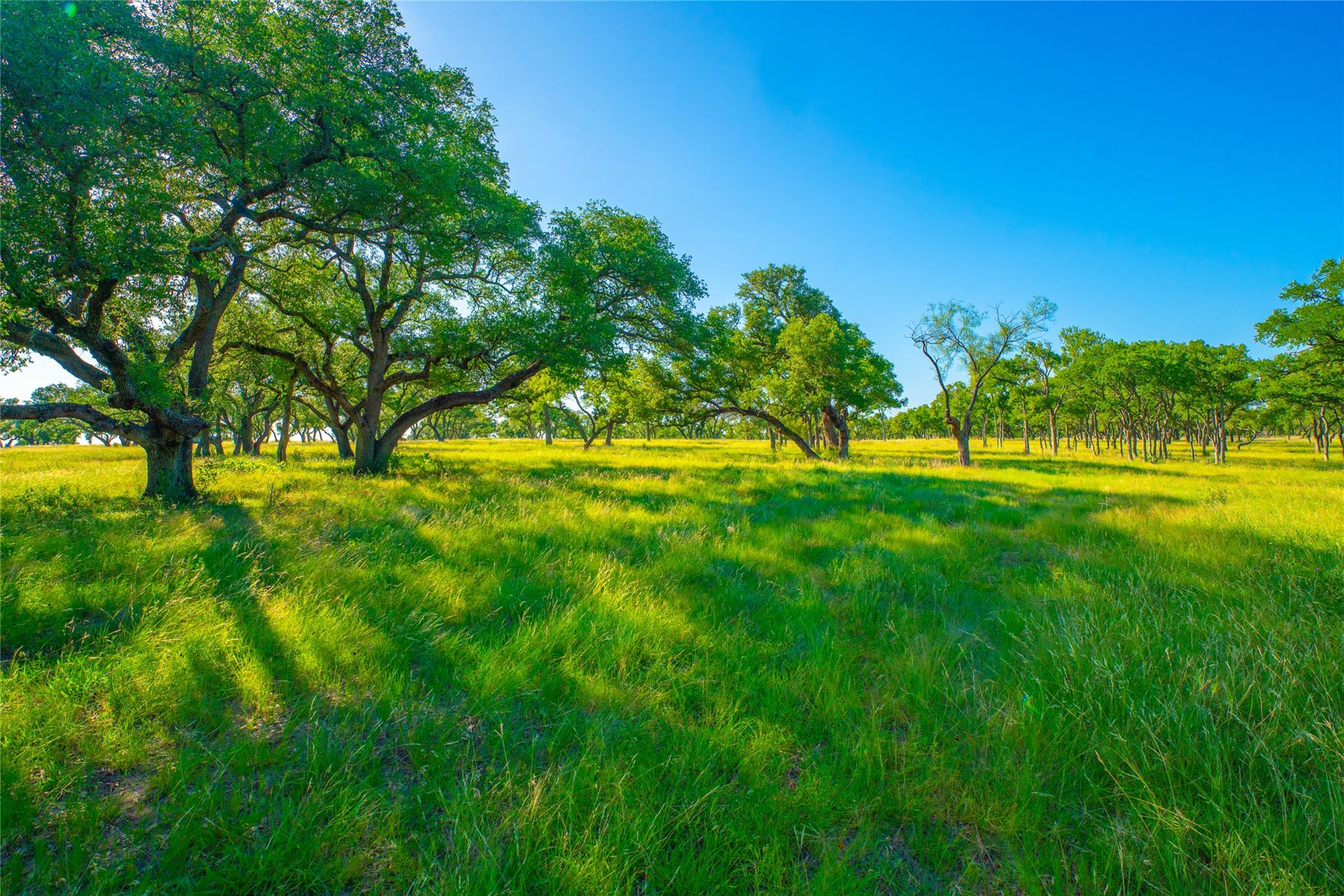 4th image of 0 Rocky Creek Rnch, Johnson City, TX 78636 | MLS# 5228214