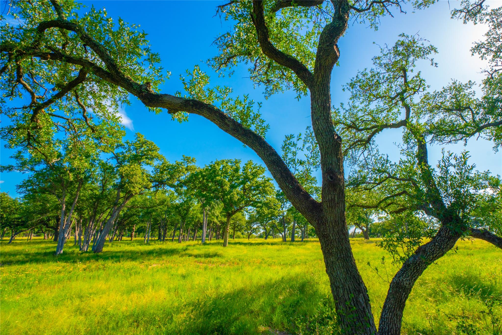 2nd image of 0 Rocky Creek Rnch, Johnson City, TX 78636 | MLS# 5228214