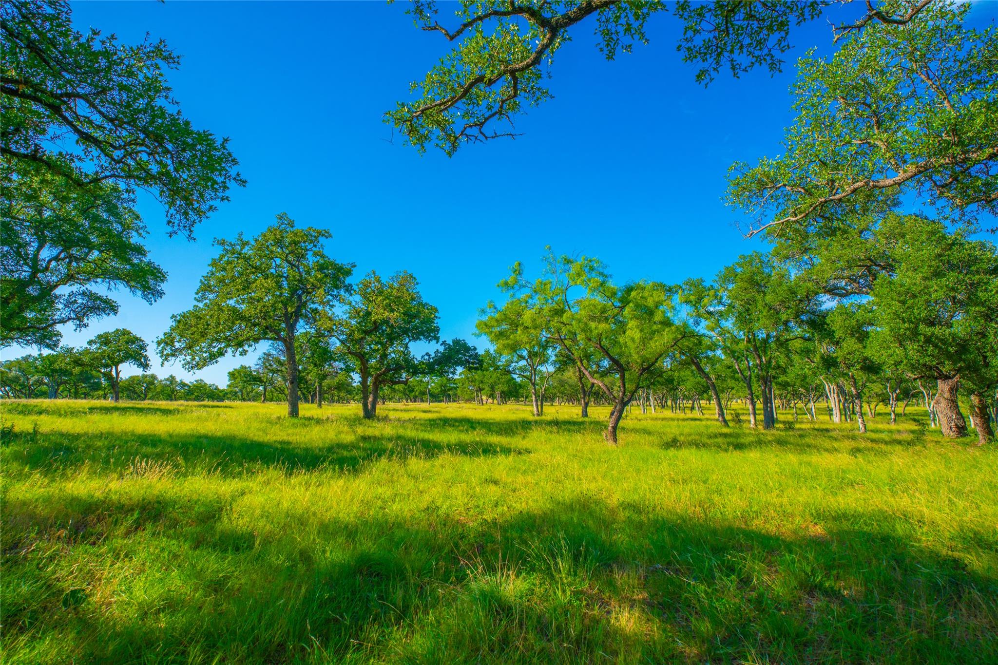 3rd image of 0 Rocky Creek Rnch, Johnson City, TX 78636 | MLS# 5228214