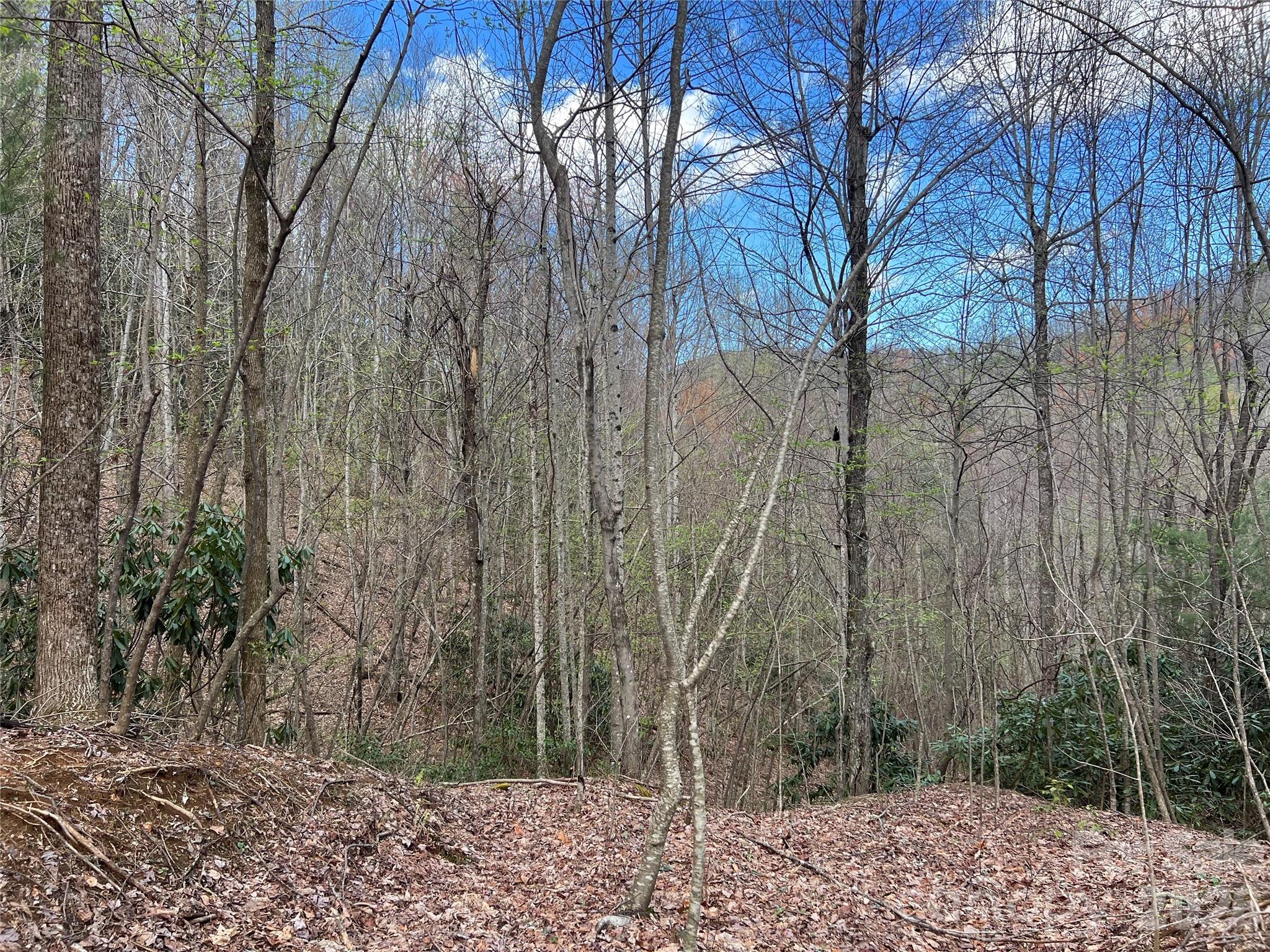 4th image of 00 Audia Way Dr, Zirconia, NC 28790 | MLS# 4125688