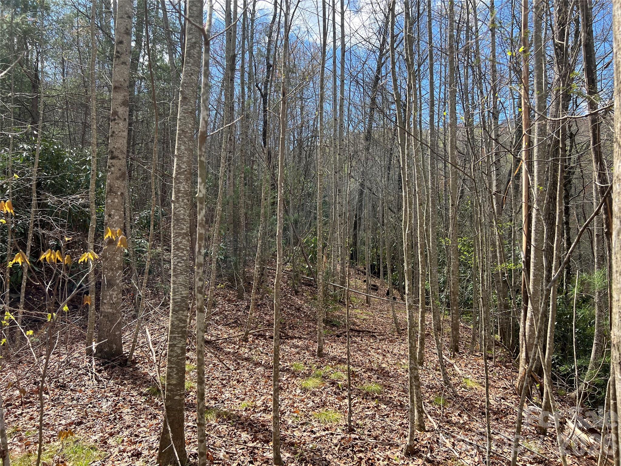 3rd image of 00 Audia Way Dr, Zirconia, NC 28790 | MLS# 4125688