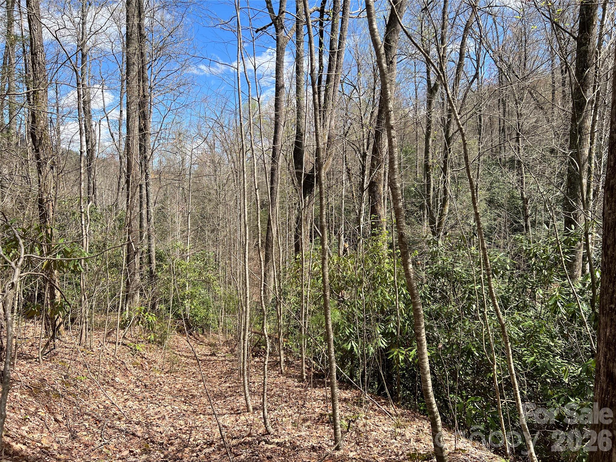 1st image of 00 Audia Way Dr, Zirconia, NC 28790 | MLS# 4125688
