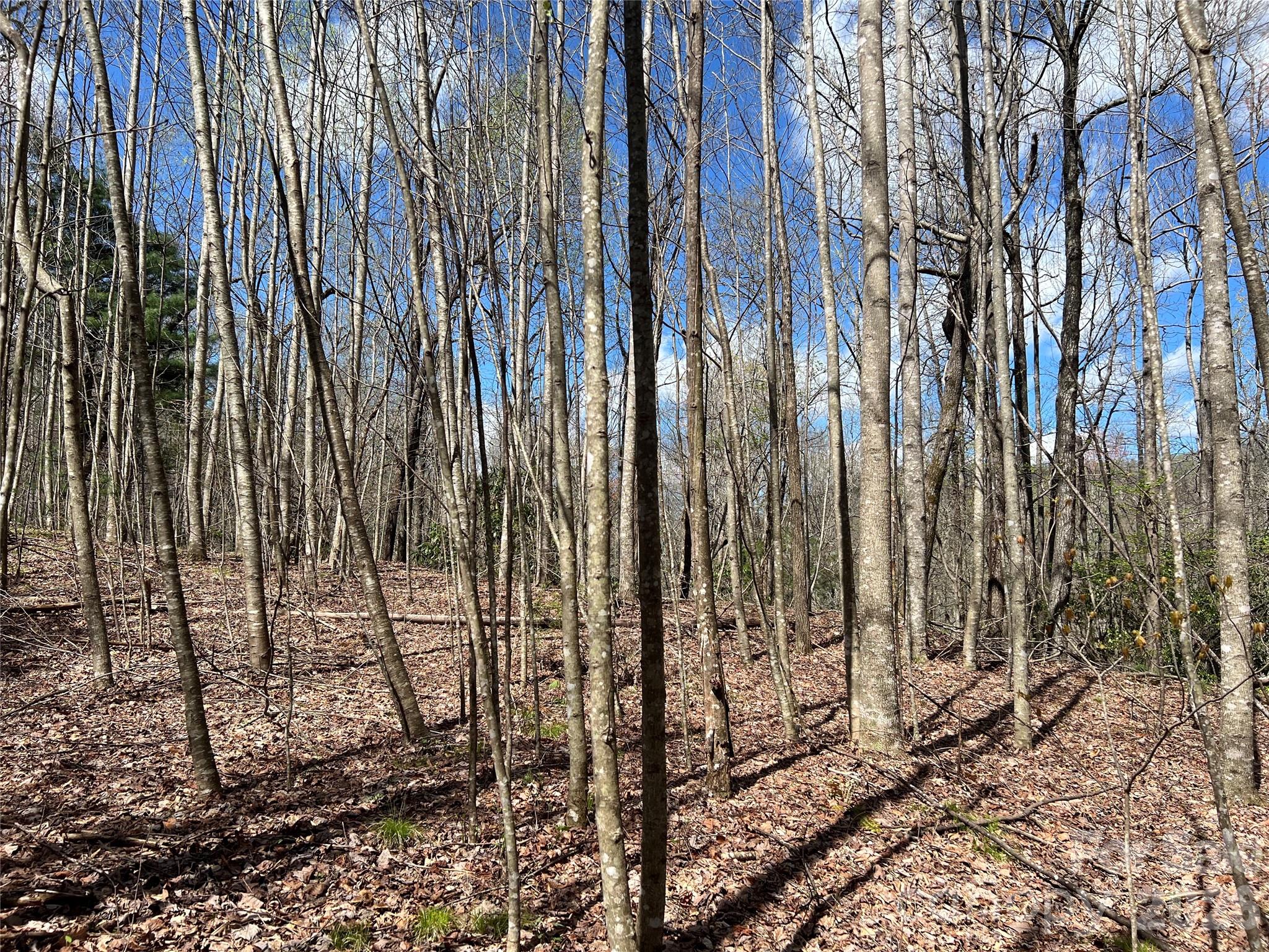 5th image of 00 Audia Way Dr, Zirconia, NC 28790 | MLS# 4125688