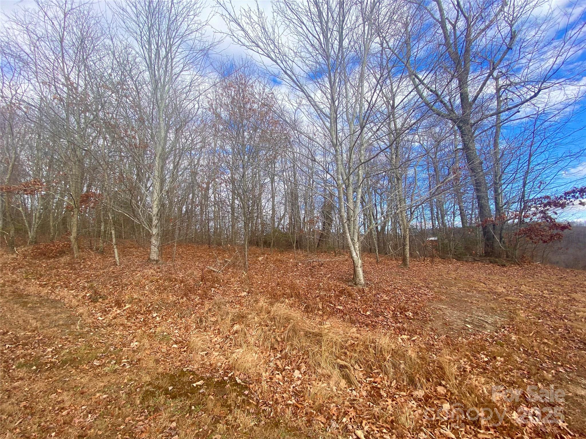 Homes for sale in Little Switzerland, NC | Lot 37 Skyline Rd #37, Little Switzerland, NC 28749 | MLS# 4156408