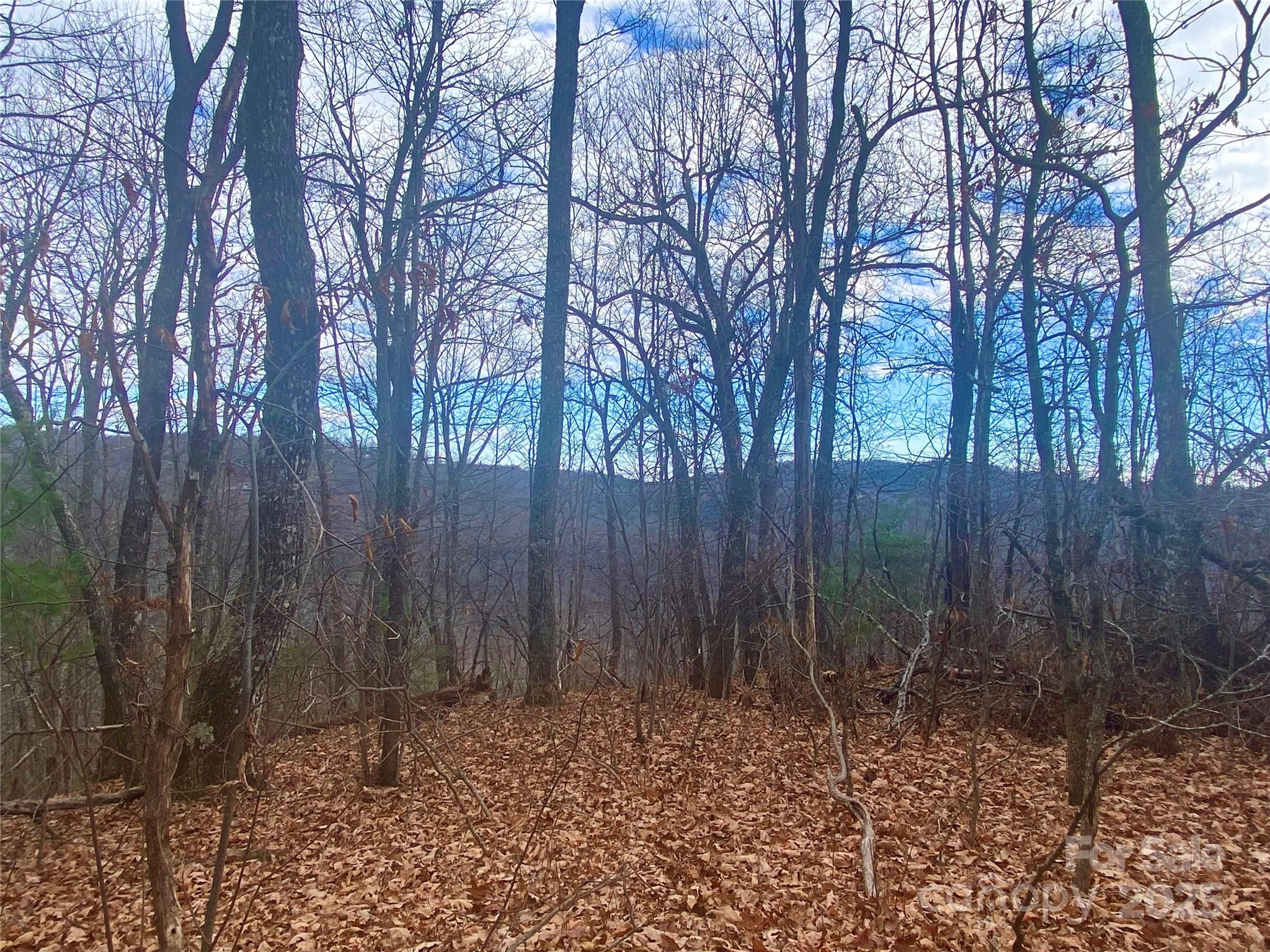 Homes for sale in Little Switzerland, NC | Lot 37 Skyline Rd #37, Little Switzerland, NC 28749 | MLS# 4156408