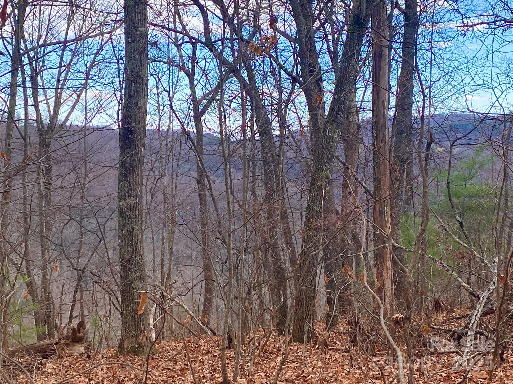 Homes for sale in Little Switzerland, NC | Lot 37 Skyline Rd #37, Little Switzerland, NC 28749 | MLS# 4156408