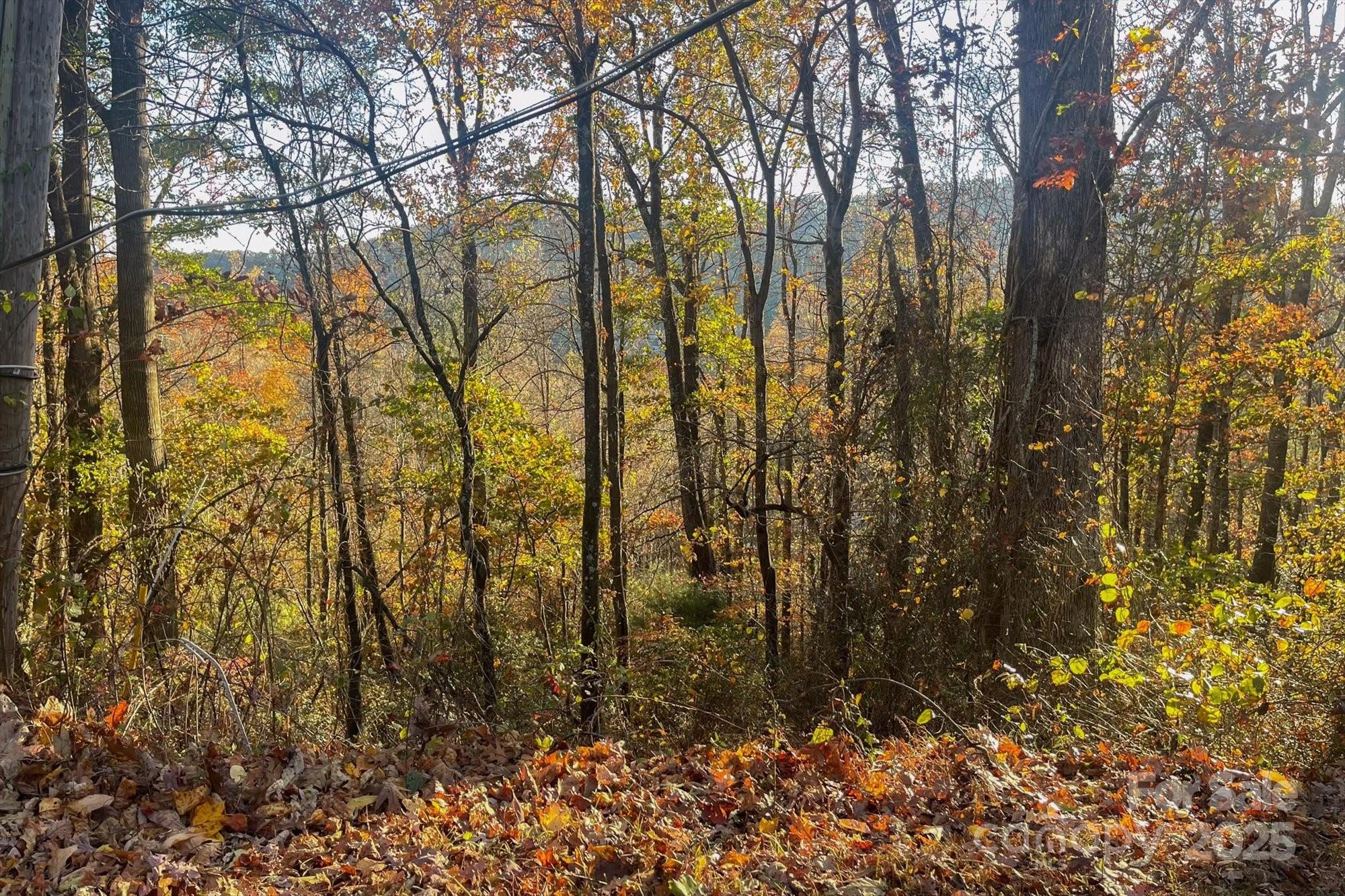 Homes for sale in Hendersonville, NC | 000 Rising View Dr #114, Hendersonville, NC 28791 | MLS# 4194844