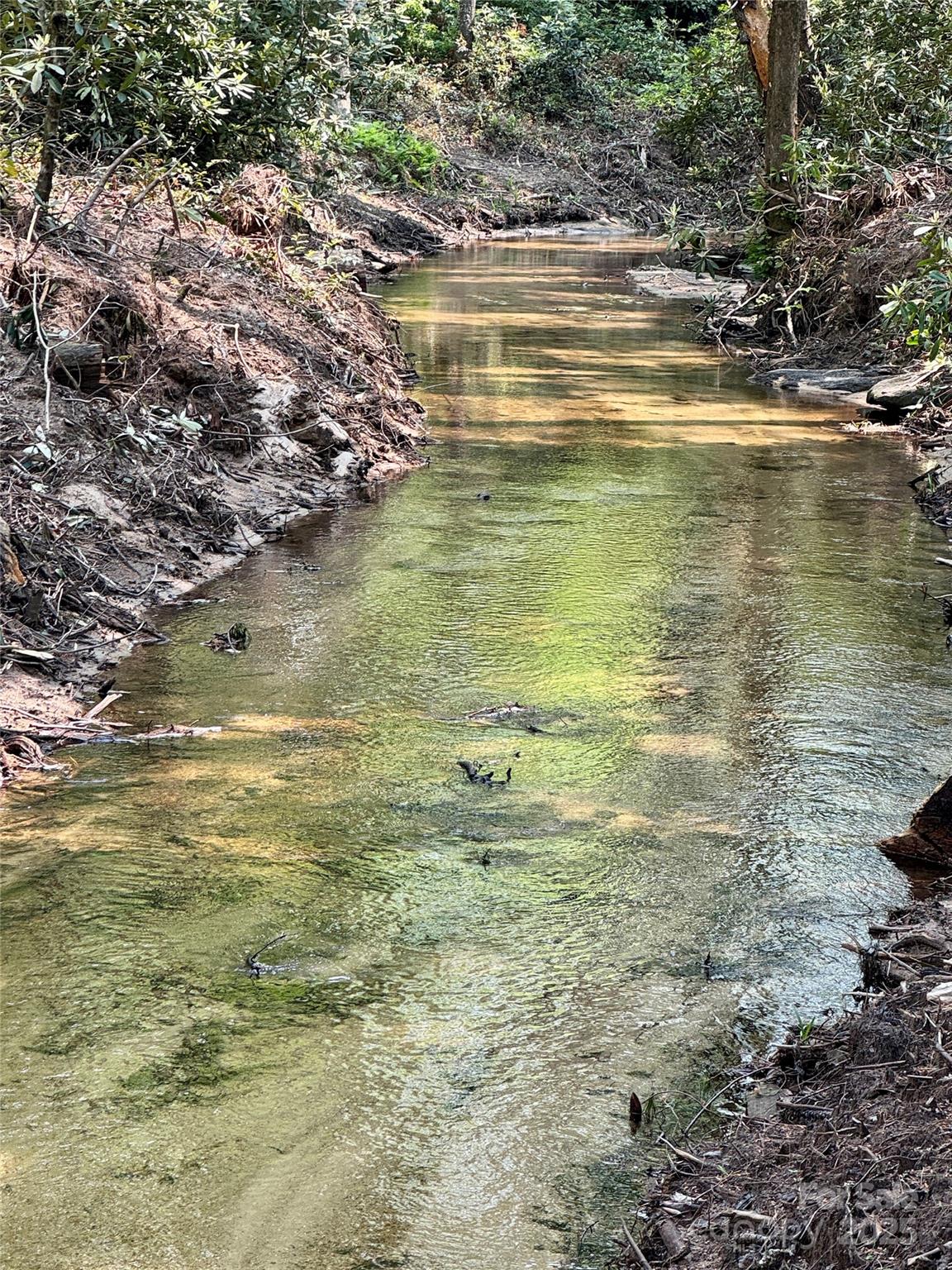 Homes for sale in Cedar Mountain, NC | 45 Stones Lake Rd, Cedar Mountain, NC 28718 | MLS# 4238578