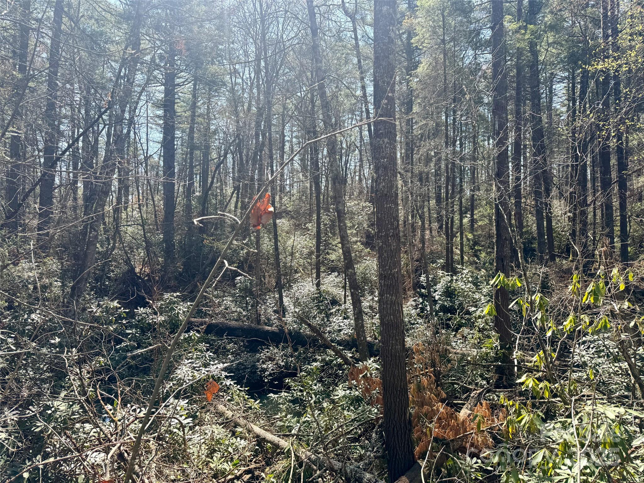 Homes for sale in Cedar Mountain, NC | 45 Stones Lake Rd, Cedar Mountain, NC 28718 | MLS# 4238578