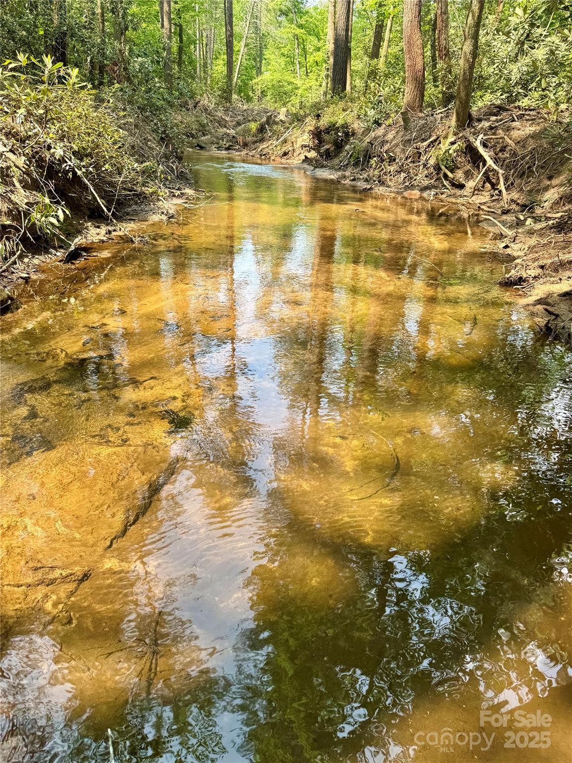 Homes for sale in Cedar Mountain, NC | 45 Stones Lake Rd, Cedar Mountain, NC 28718 | MLS# 4238578