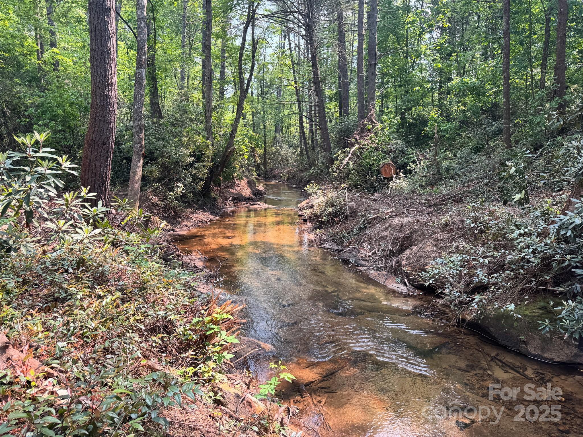 Homes for sale in Cedar Mountain, NC | 45 Stones Lake Rd, Cedar Mountain, NC 28718 | MLS# 4238578