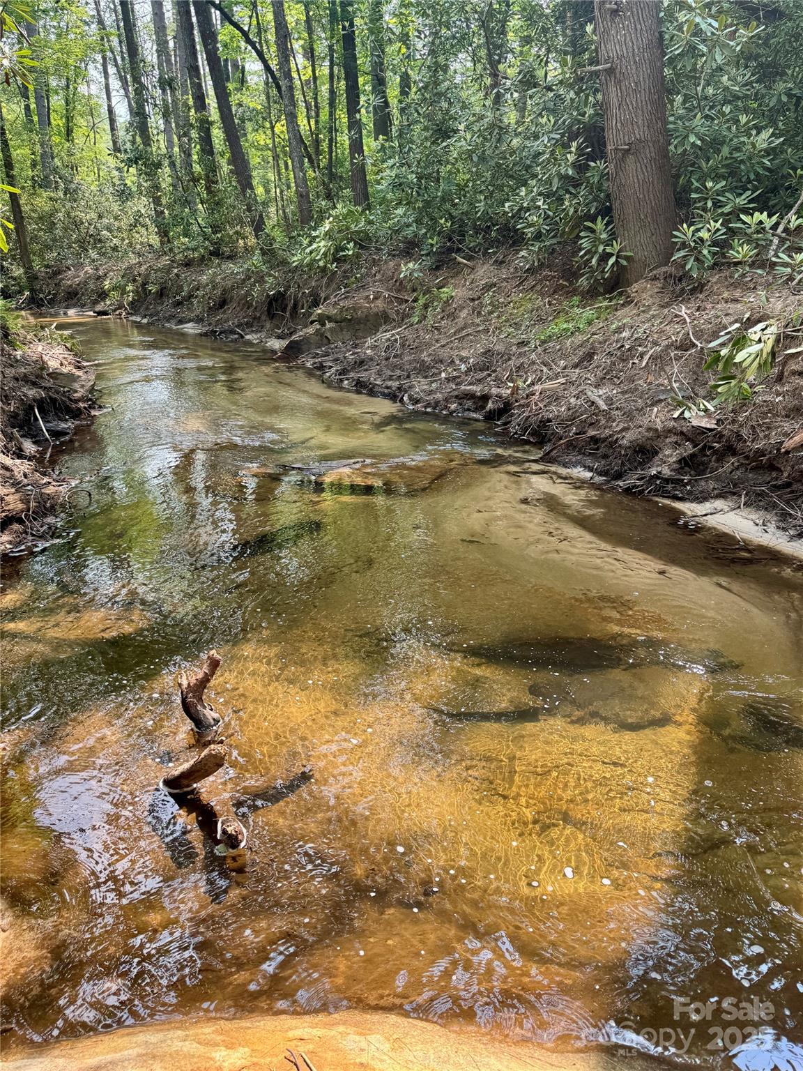 Homes for sale in Cedar Mountain, NC | 45 Stones Lake Rd, Cedar Mountain, NC 28718 | MLS# 4238578