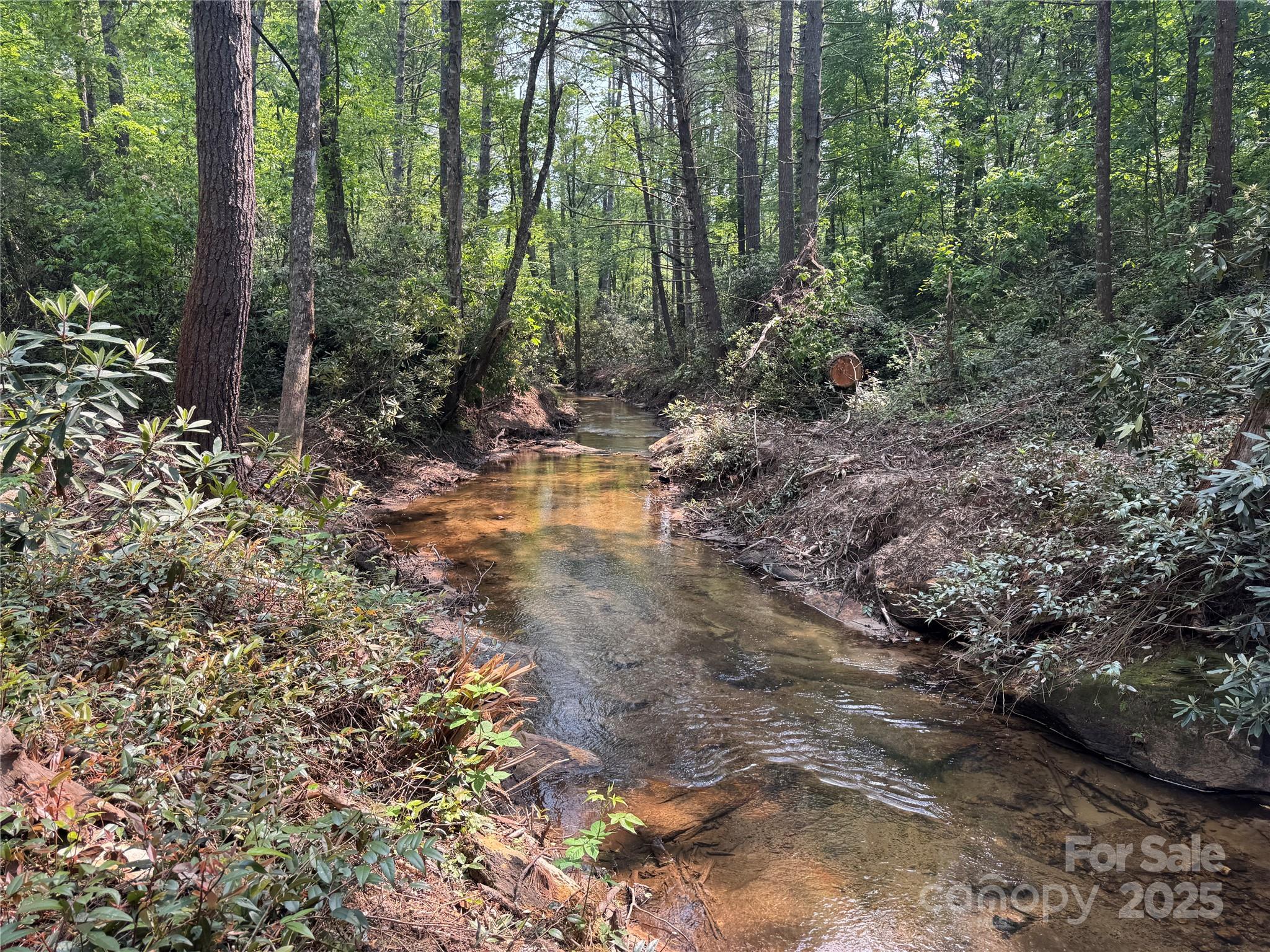 Homes for sale in Cedar Mountain, NC | 45 Stones Lake Rd, Cedar Mountain, NC 28718 | MLS# 4238578