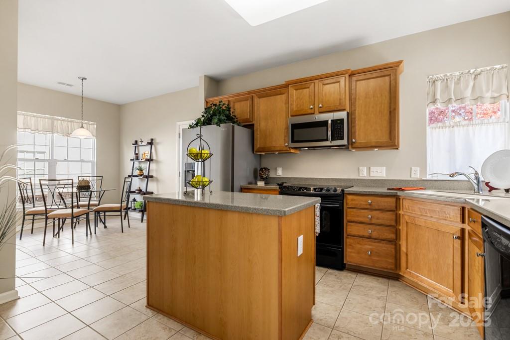 Homes for sale in Indian Land, SC | 16291 Raven Crest Dr, Indian Land, SC 29707 | MLS# 4252969