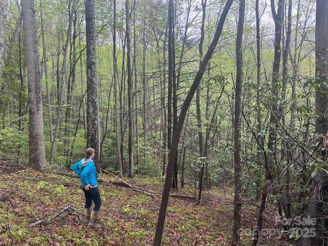 Homes for sale in Fairview, NC | (Undisclosed), Fairview, NC 28730 | MLS# 4257154