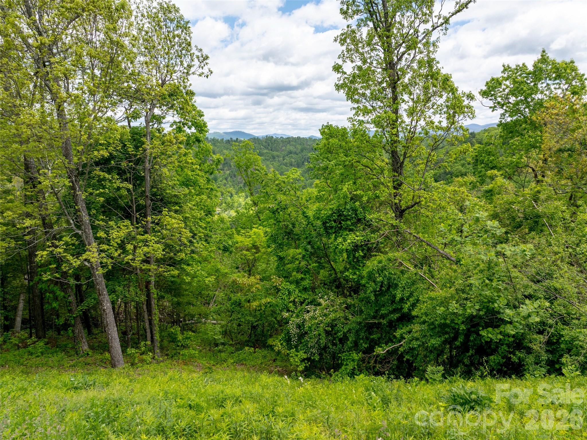 Homes for sale in Asheville, NC | 124 Summit Tower Cir, Asheville, NC 28804 | MLS# 4258324