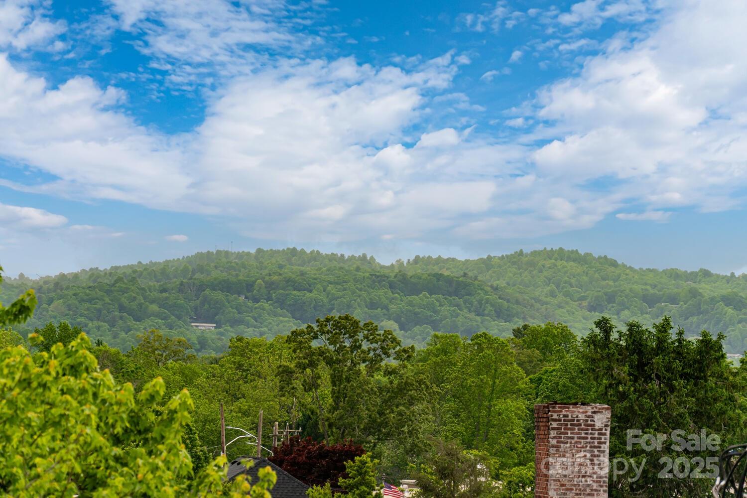 Homes for sale in Hendersonville, NC | 231 N Main St, Hendersonville, NC 28792 | MLS# 4267654