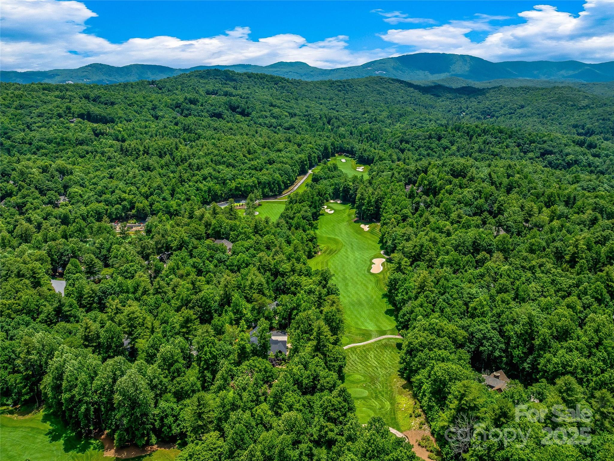 Homes for sale in Hendersonville, NC | 216 Shadybrook Trl #270, Hendersonville, NC 28739 | MLS# 4271745