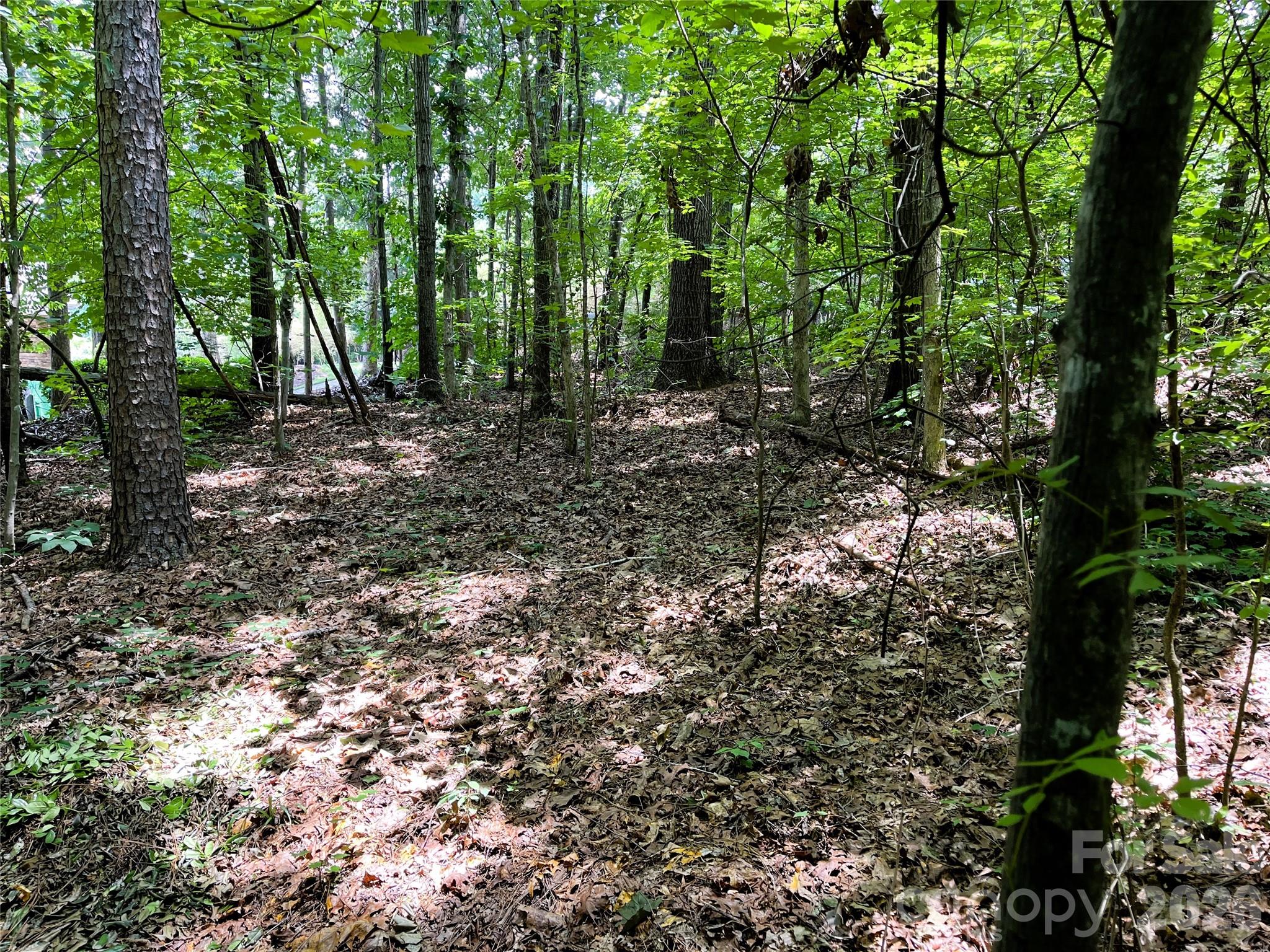 2nd image of 4225 Nicole Eileen Ln, Charlotte, NC 28216 | MLS# 4271777