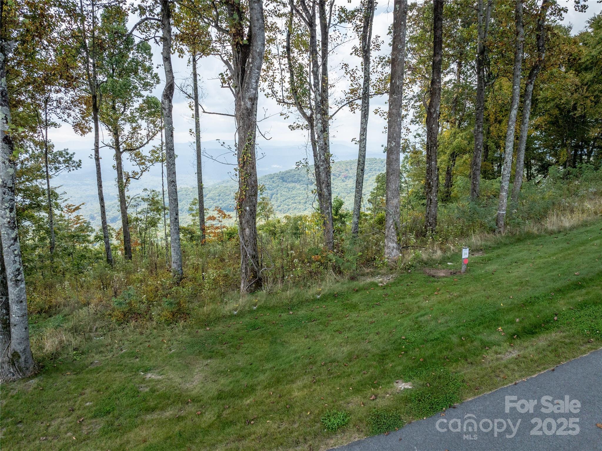 Homes for sale in Hendersonville, NC | Tbd East Garden Trl #Lot 26, Hendersonville, NC 28792 | MLS# 4278098
