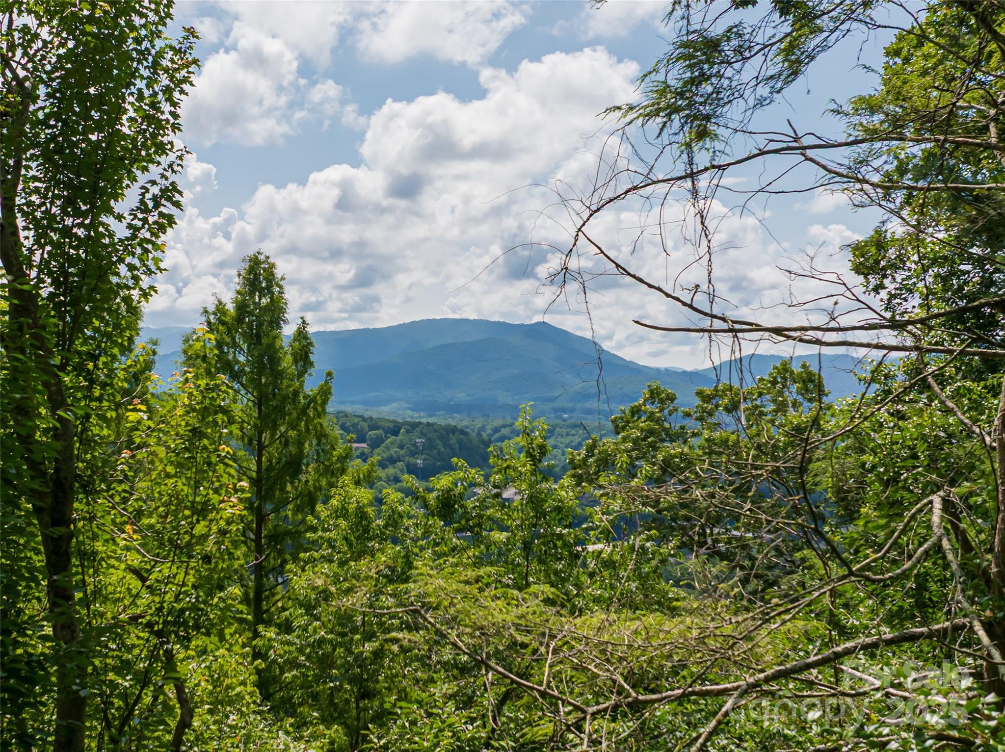Homes for sale in Asheville, NC | 3 N Delano Rd, Asheville, NC 28805 | MLS# 4282055