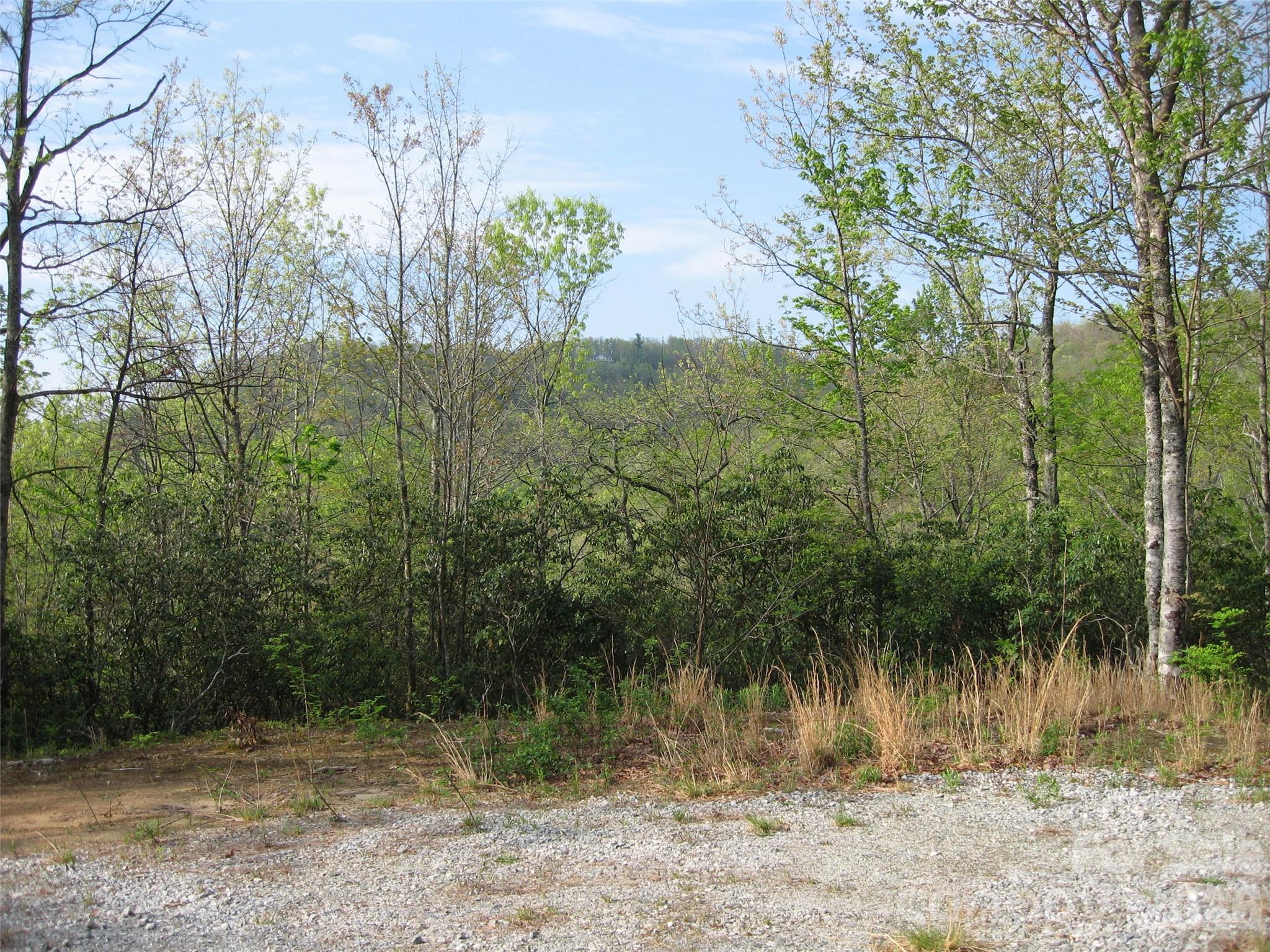 Homes for sale in Rosman, NC | 313 Line Runner Ridge Rd, Rosman, NC 28772 | MLS# 4282989