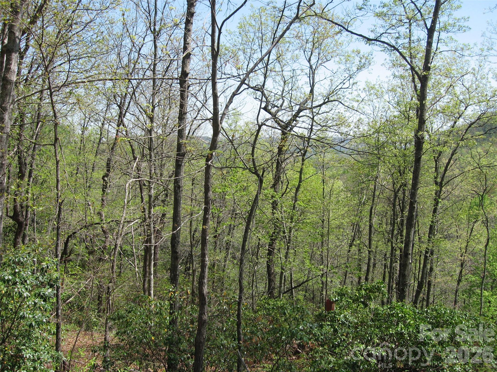 Homes for sale in Rosman, NC | 313 Line Runner Ridge Rd, Rosman, NC 28772 | MLS# 4282989