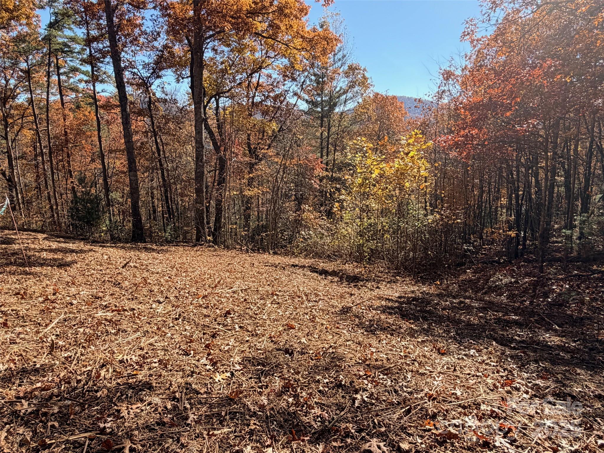 Homes for sale in Zirconia, NC | 130 Brown Bear Ridge Trl, Zirconia, NC 28790 | MLS# 4285078