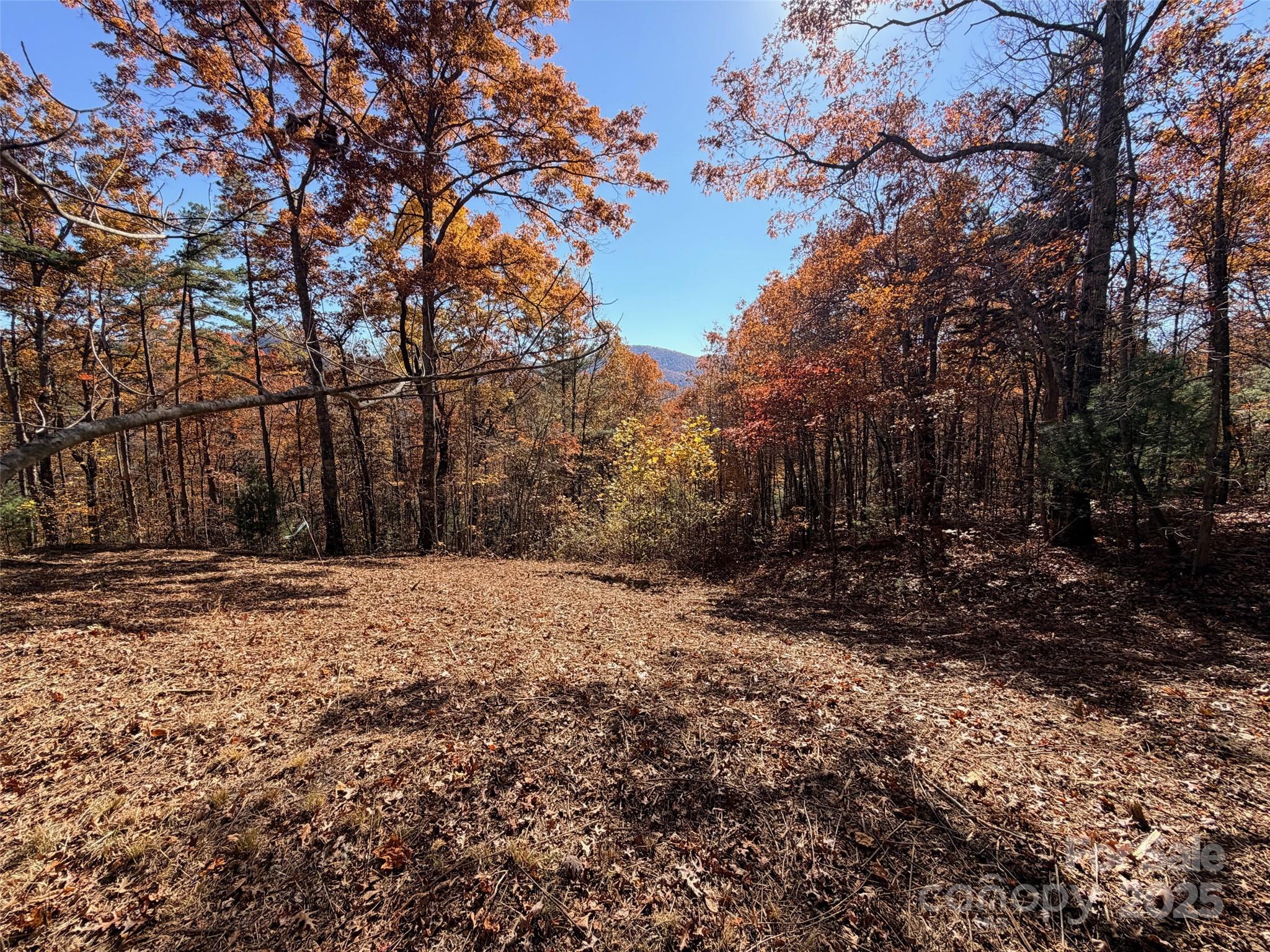 Homes for sale in Zirconia, NC | 130 Brown Bear Ridge Trl, Zirconia, NC 28790 | MLS# 4285078