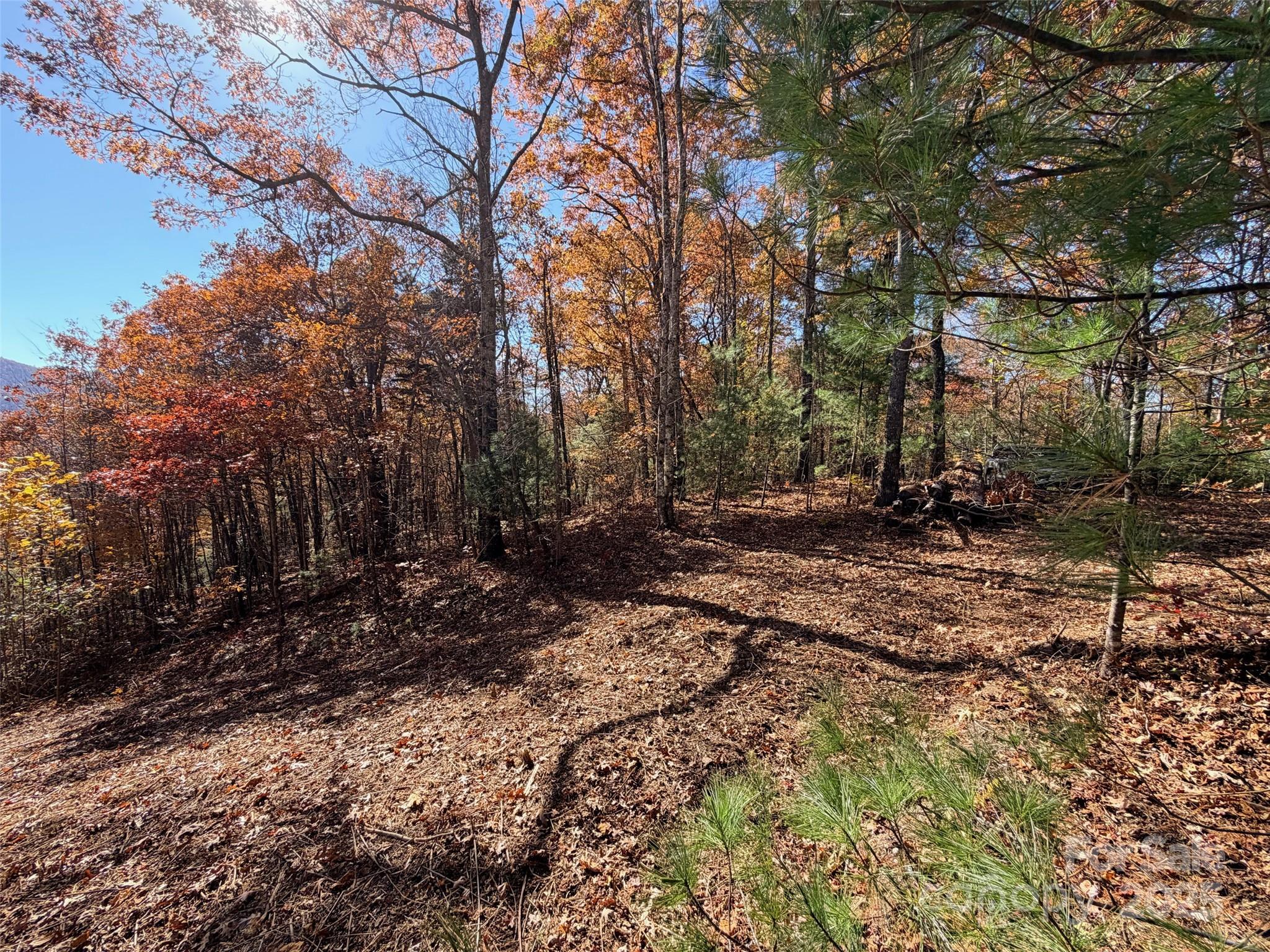 Homes for sale in Zirconia, NC | 130 Brown Bear Ridge Trl, Zirconia, NC 28790 | MLS# 4285078