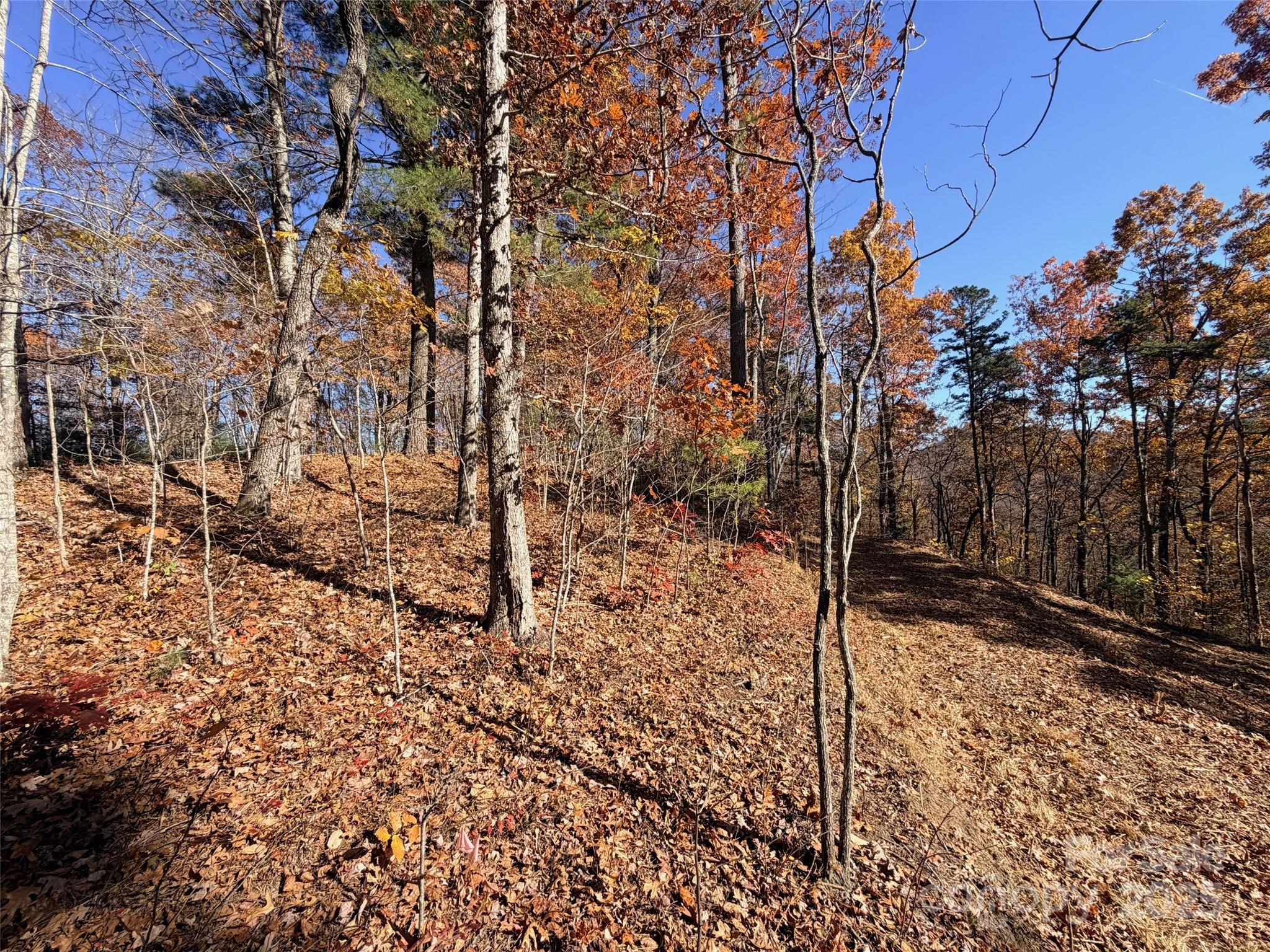 Homes for sale in Zirconia, NC | 130 Brown Bear Ridge Trl, Zirconia, NC 28790 | MLS# 4285078