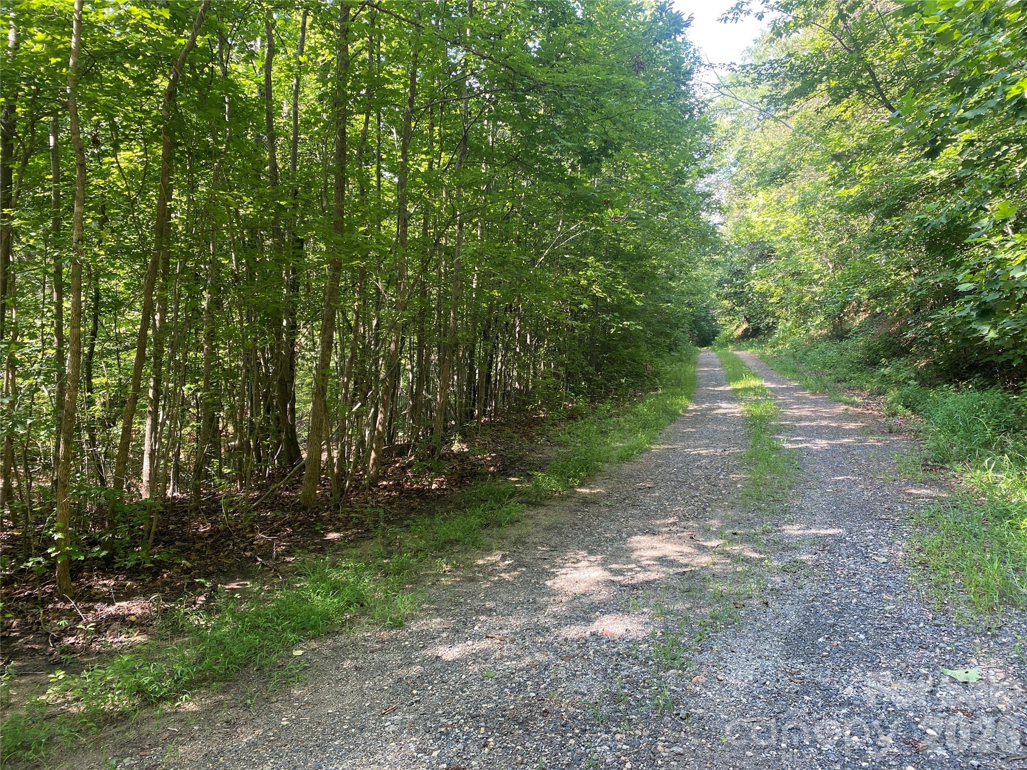 4th image of 0 Camp Mccall Rd, Bostic, NC 28018 | MLS# 4287266